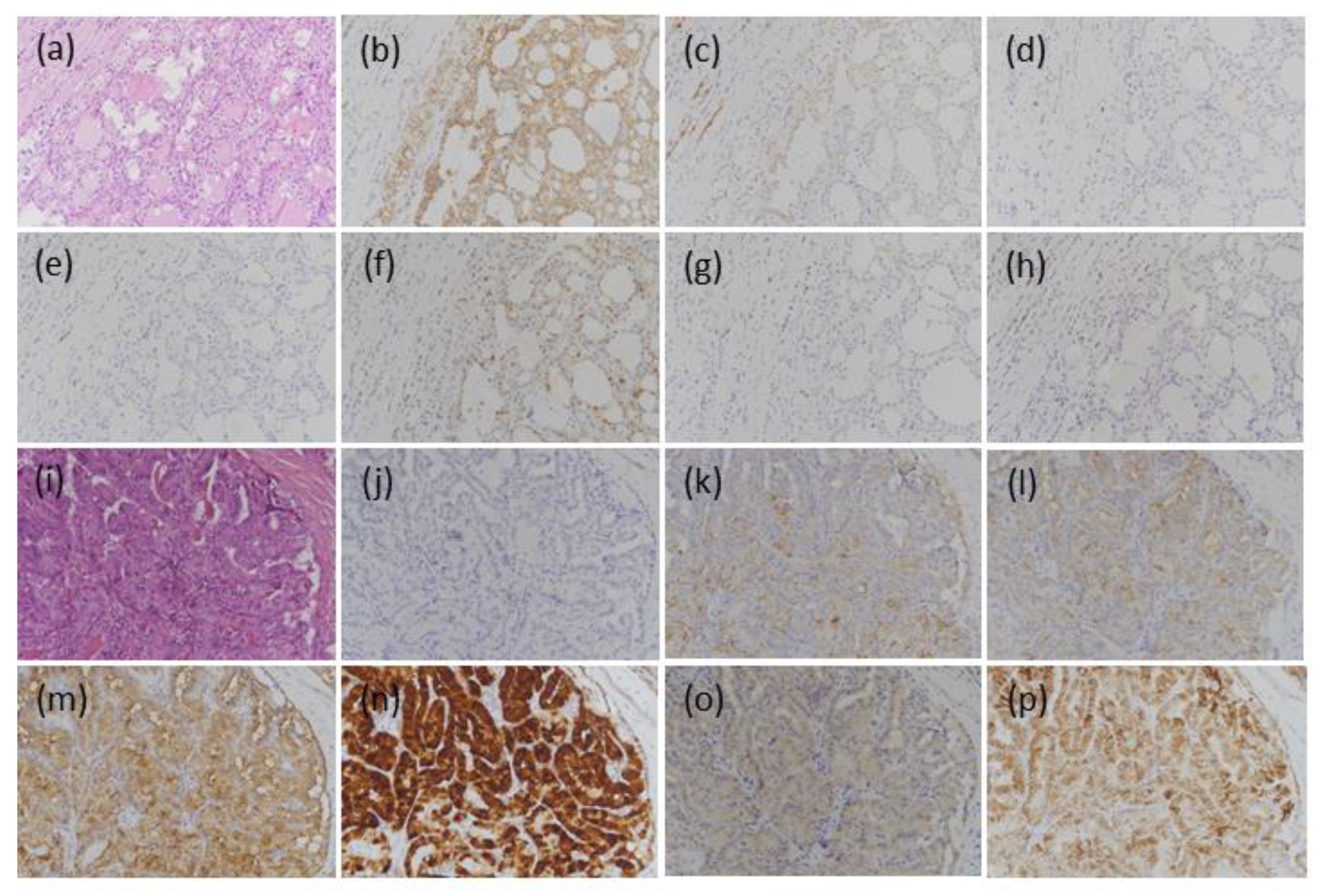 Medicina 57 01246 g002 550