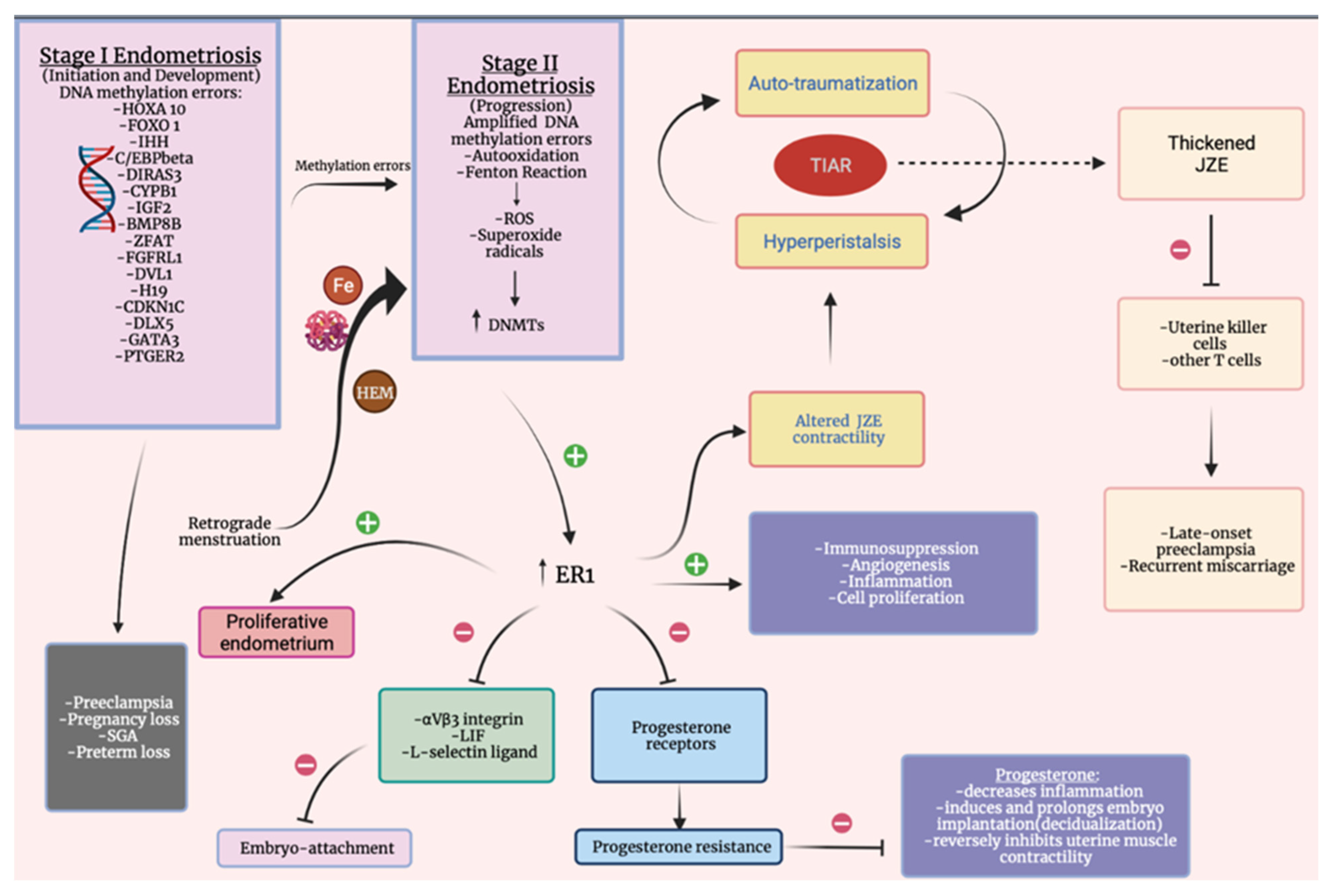 Medicina 57 01258 g001