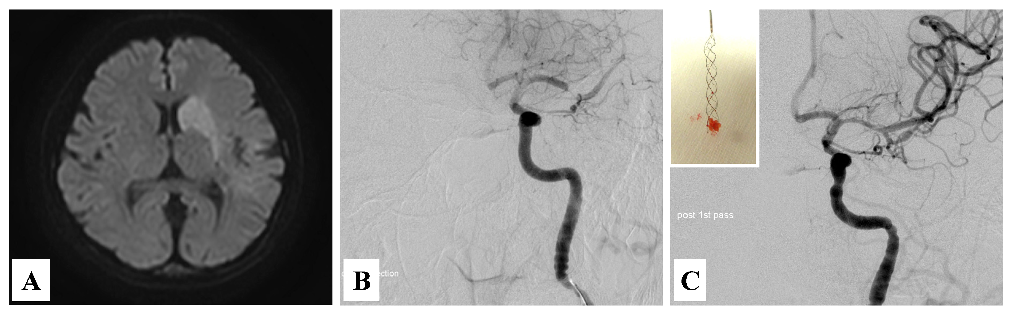 Medicina 57 01264 g001