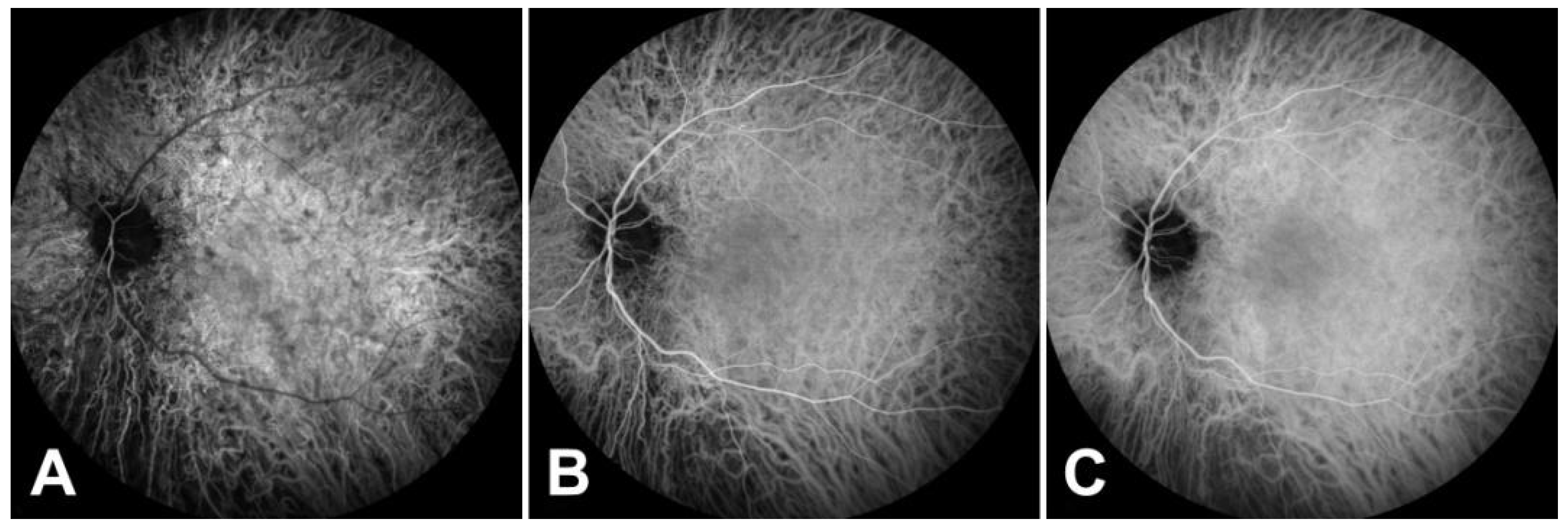 Medicina 57 01276 g002 550