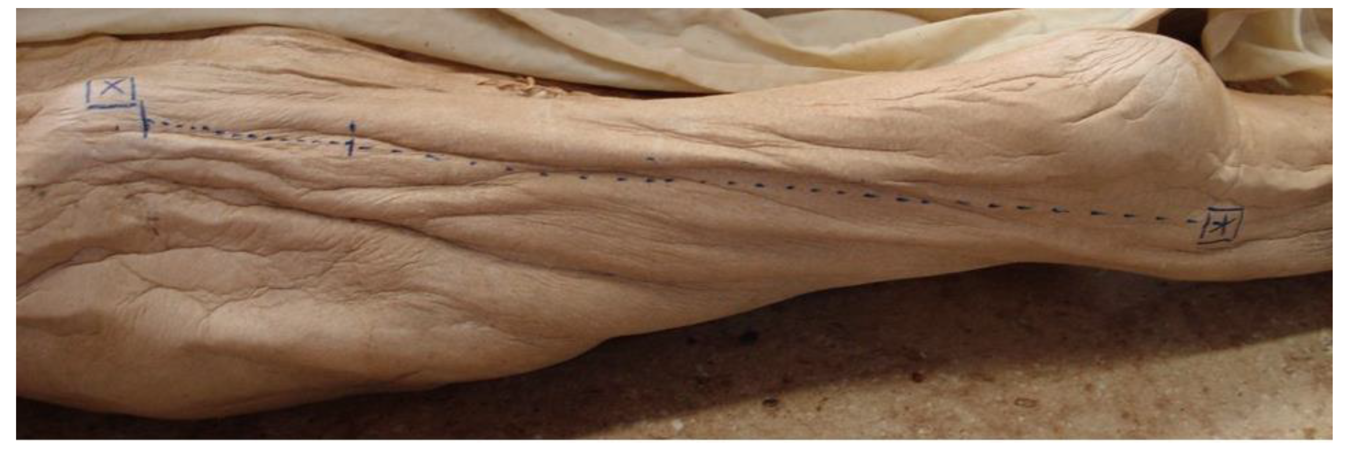 Medicina 57 01283 g001 550