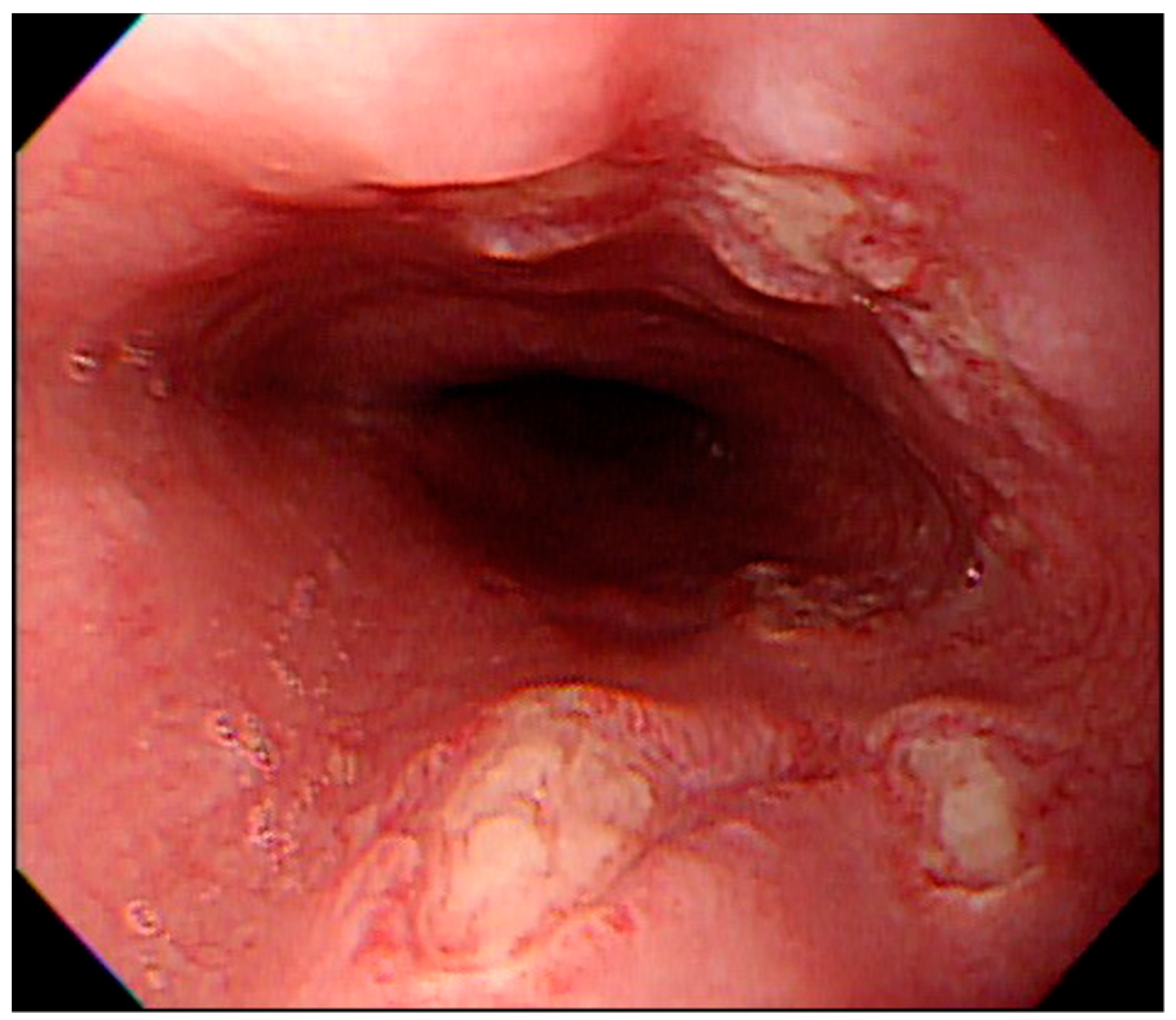 Medicina 57 01286 g002 550