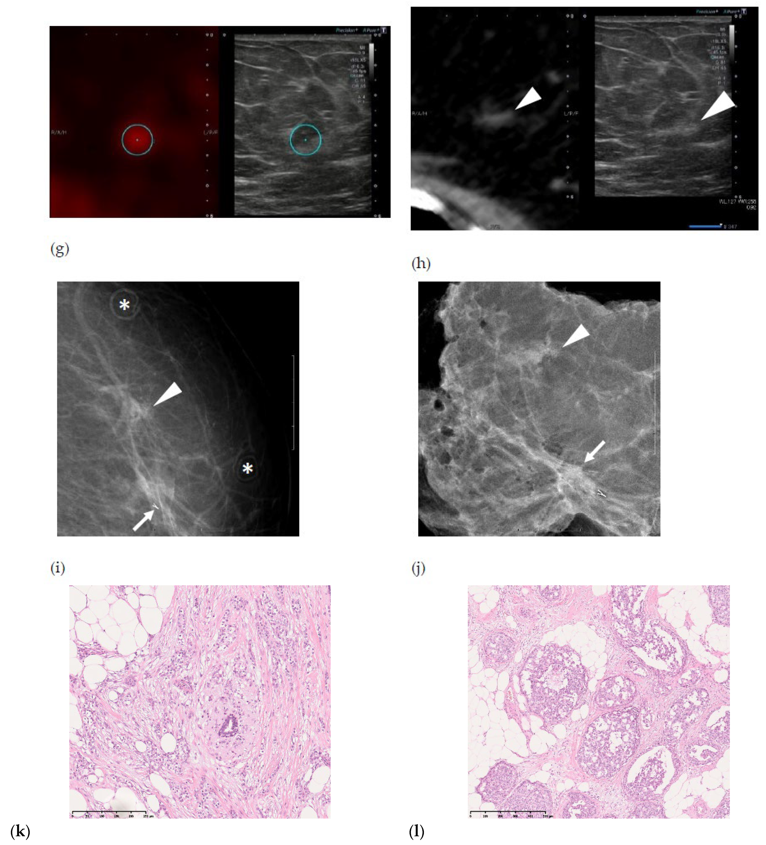 Medicina 57 01289 g001b Medicina 57 01289 g001b