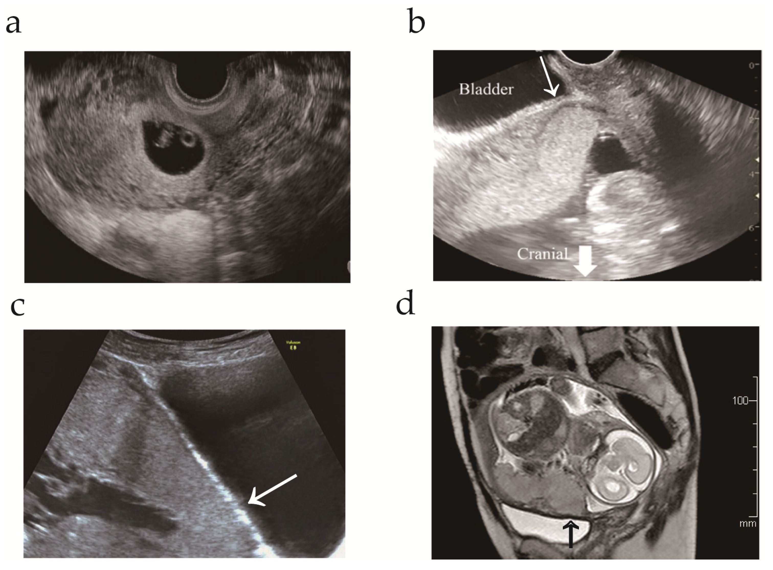 Medicina 57 01294 g001 Medicina 57 01294 g001