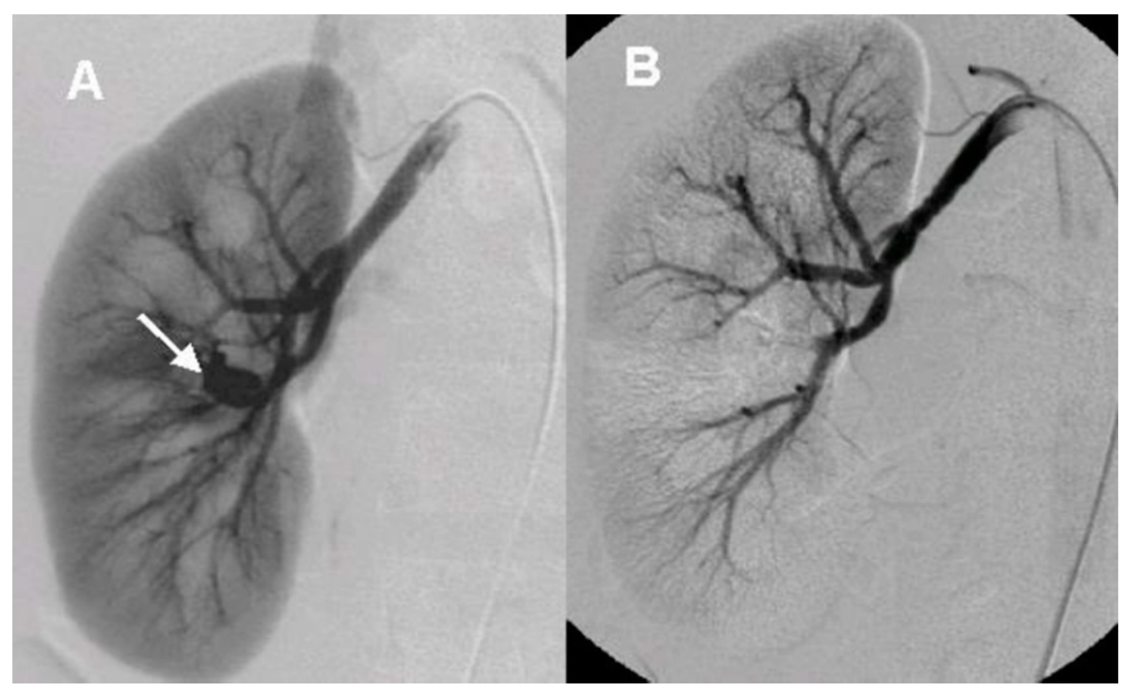 Medicina 57 01304 g002 550