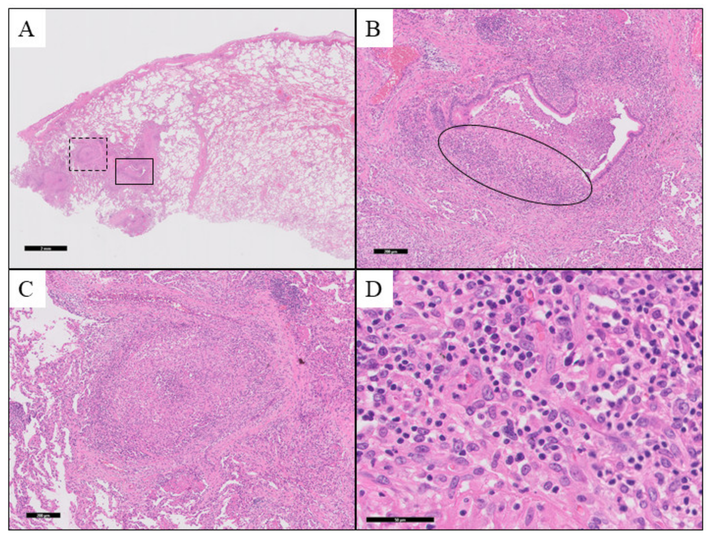 Medicina 57 01315 g002 550