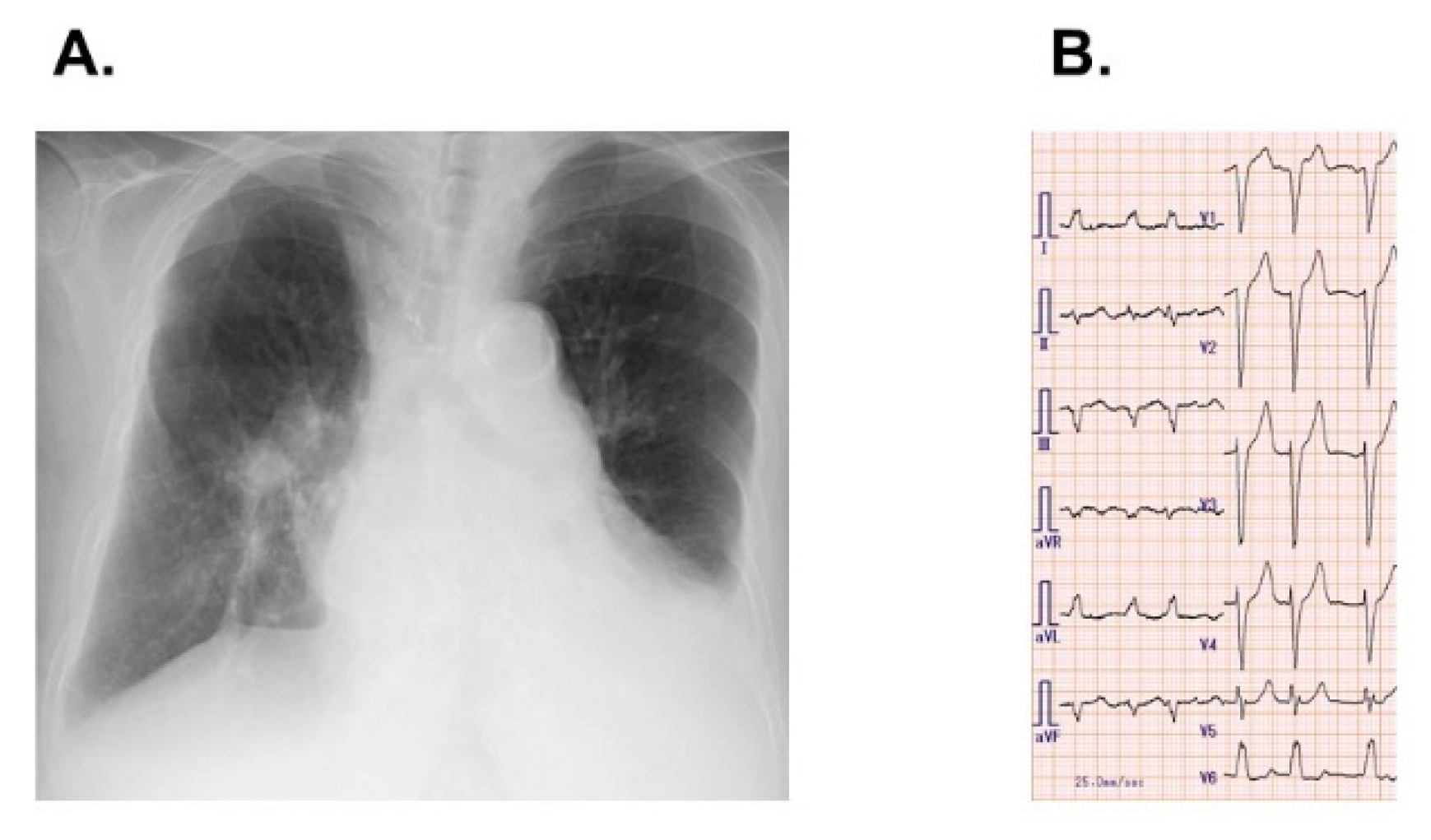 Medicina 57 01319 g001