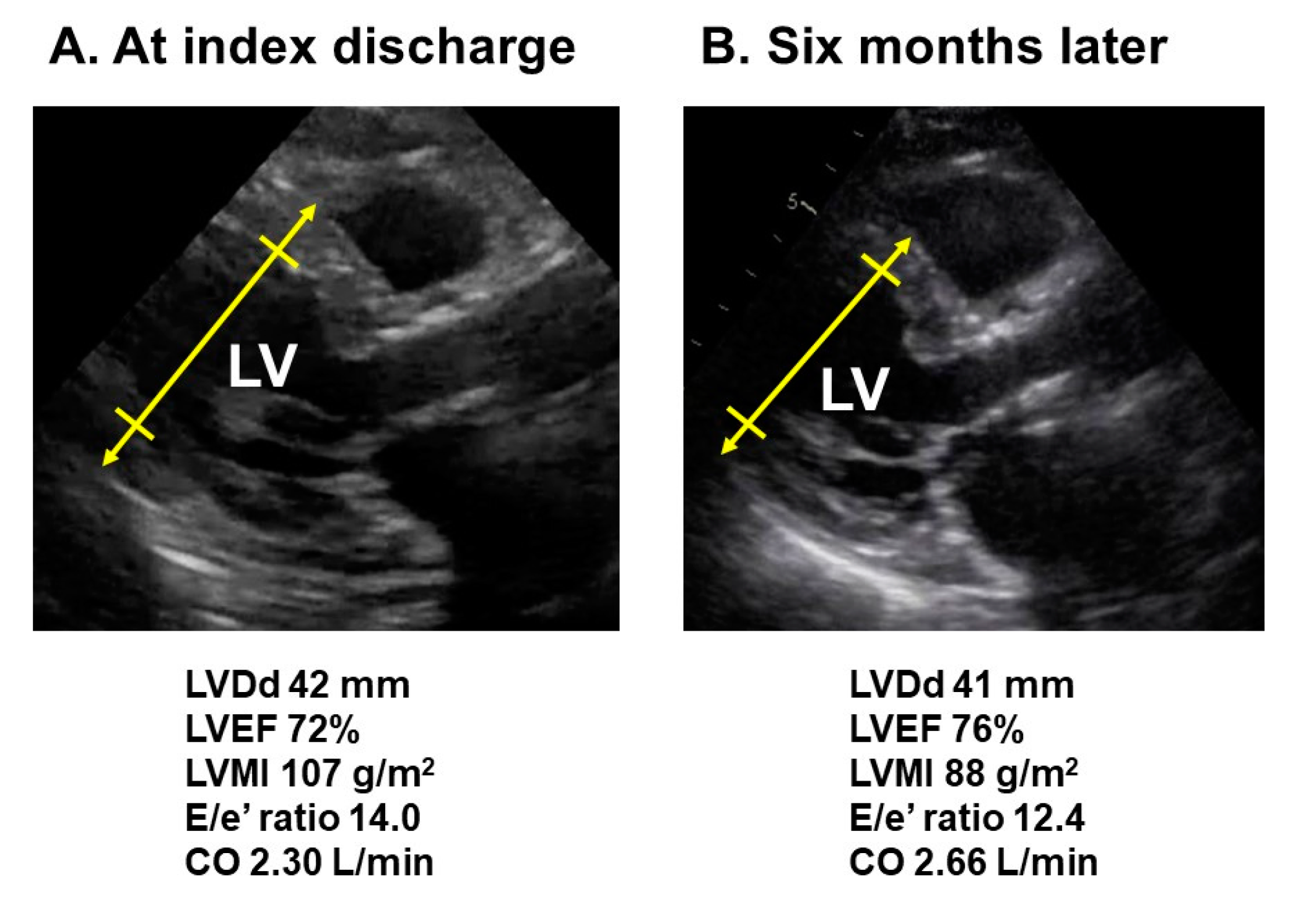 Medicina 57 01319 g002