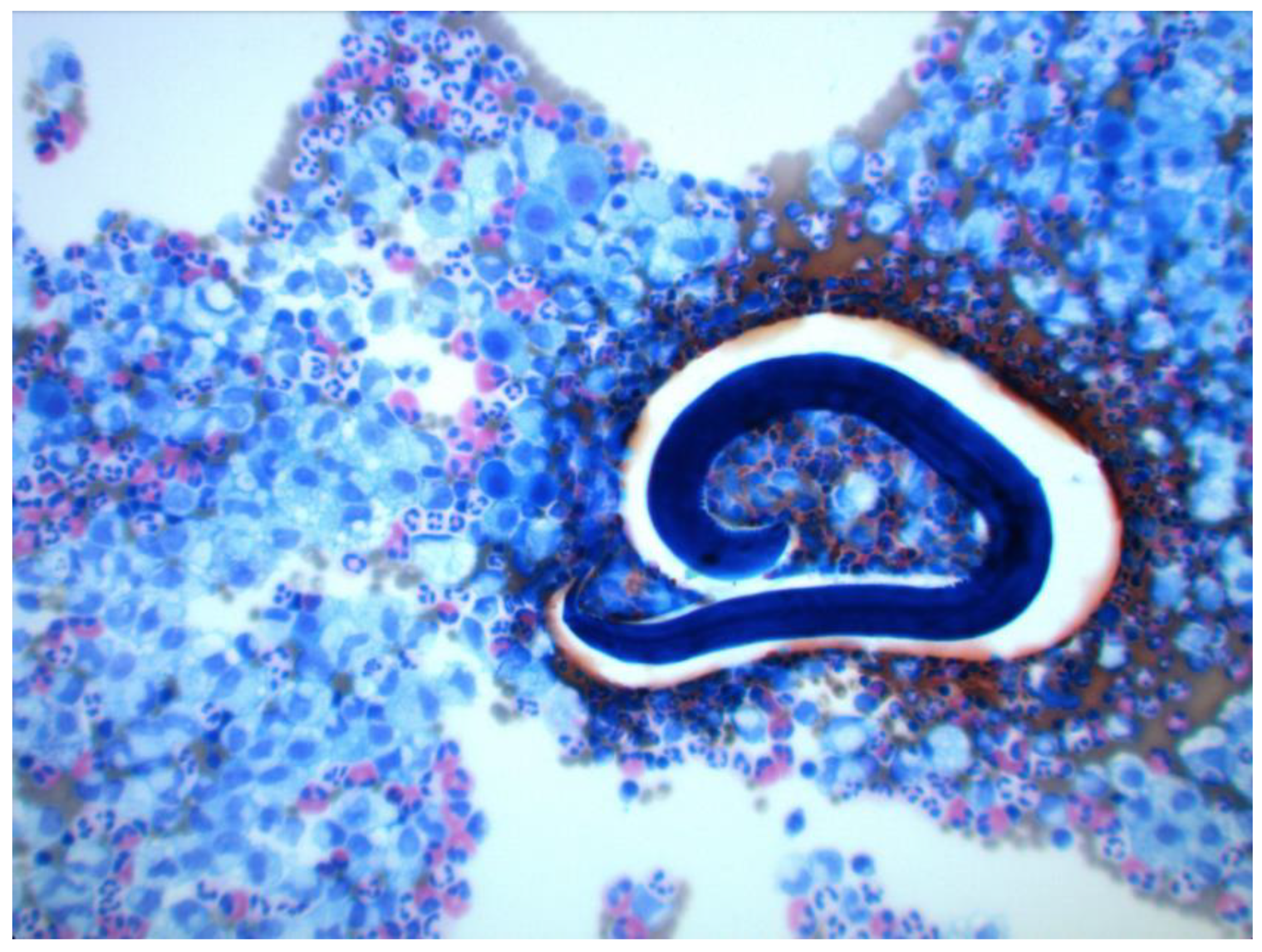 Medicina 57 01328 g007 550