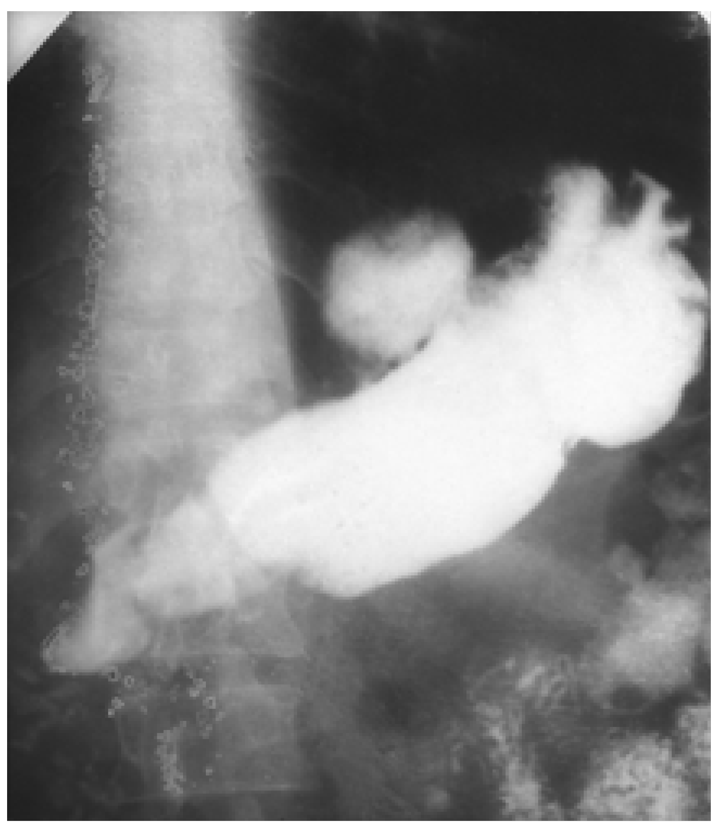 Medicina 57 01345 g003