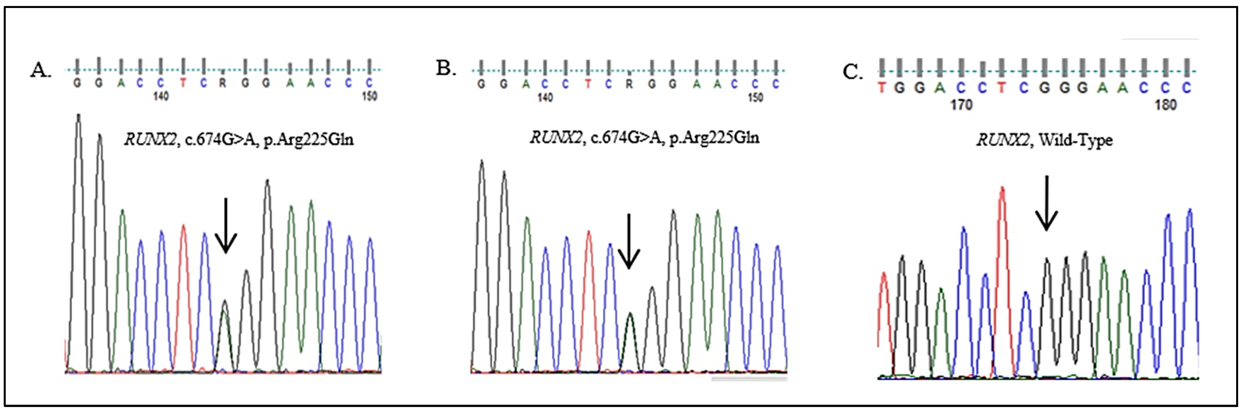 Medicina 57 01350 g018