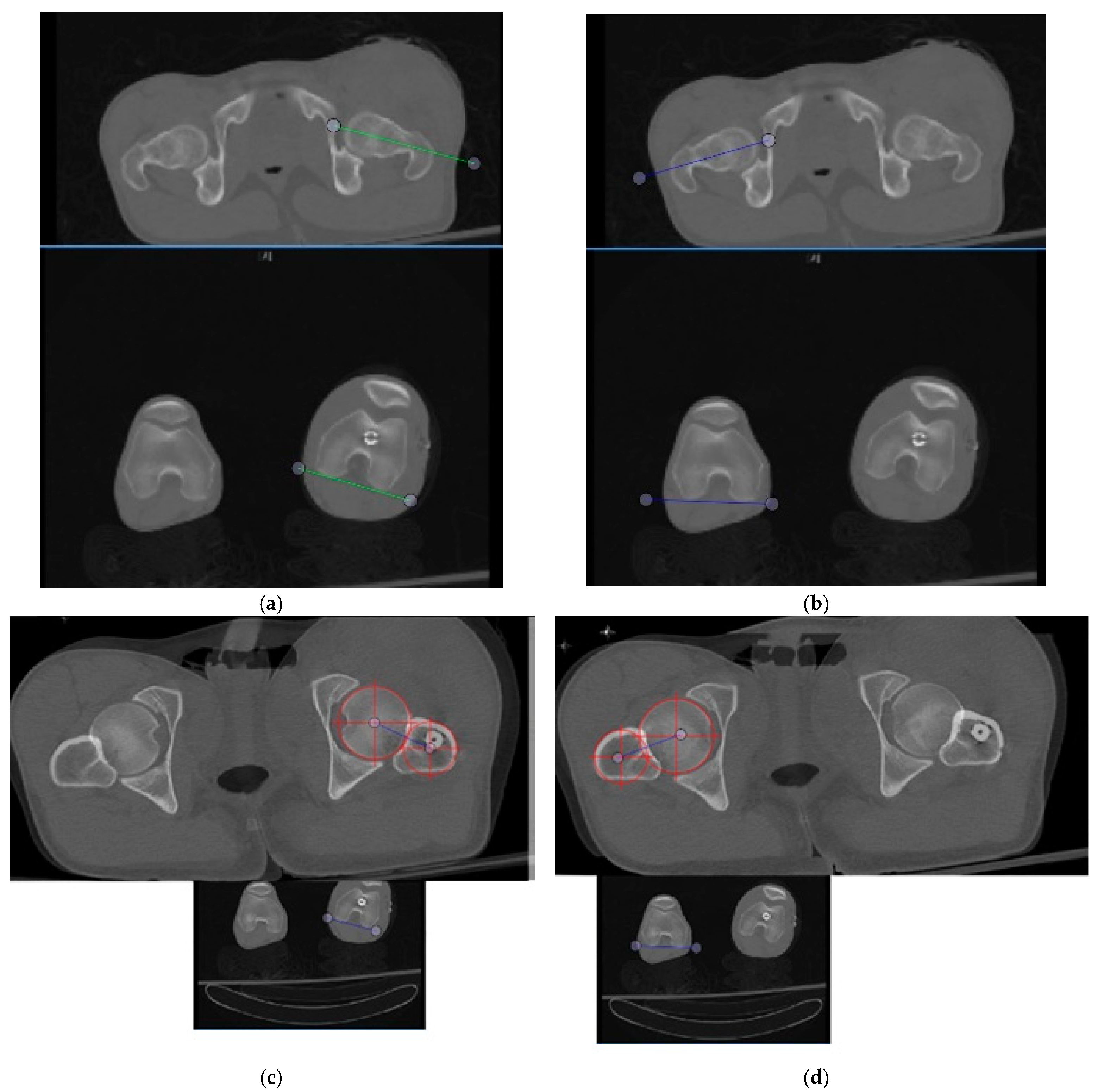 Medicina 57 01363 g001 550