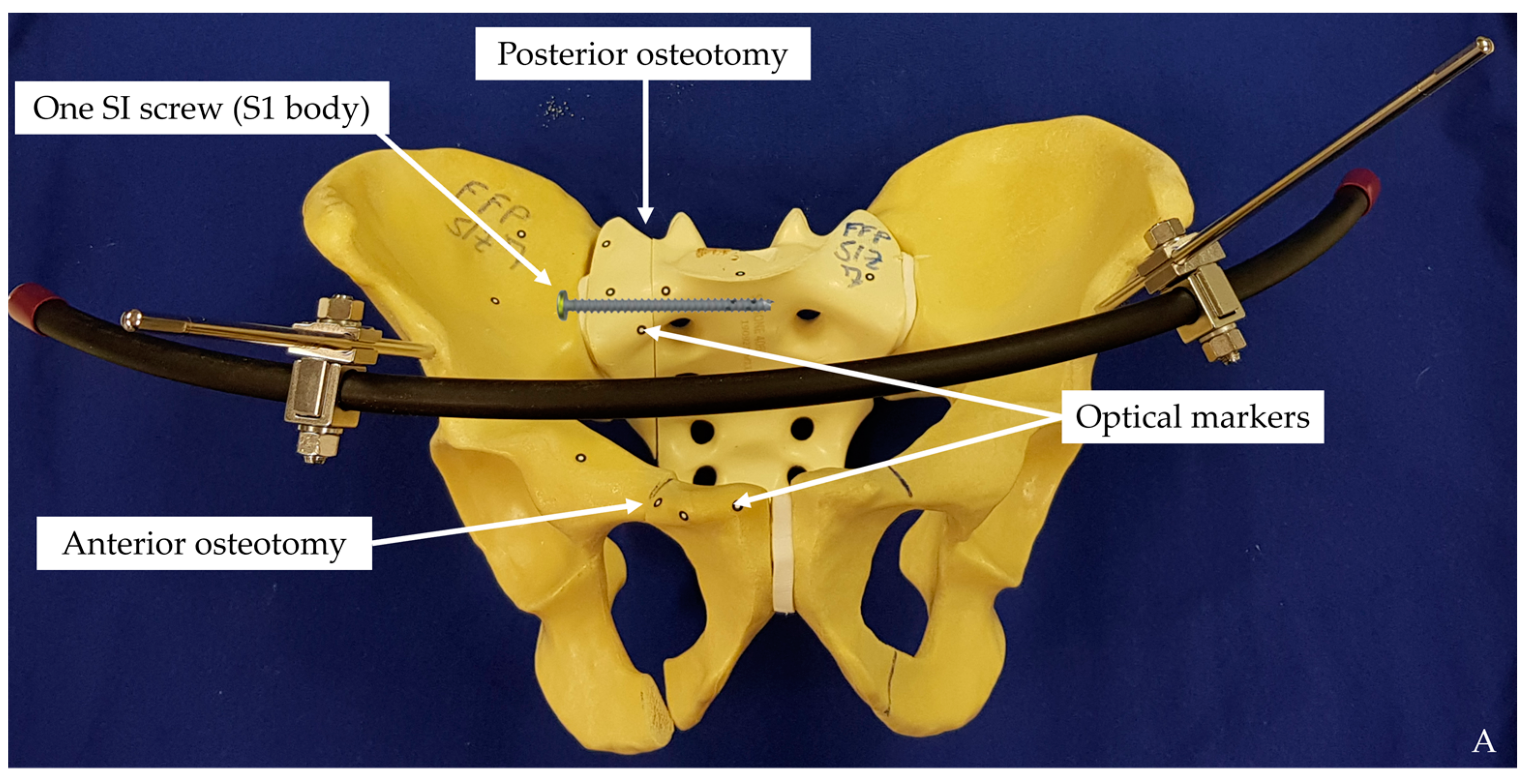 Medicina 57 01368 g003a