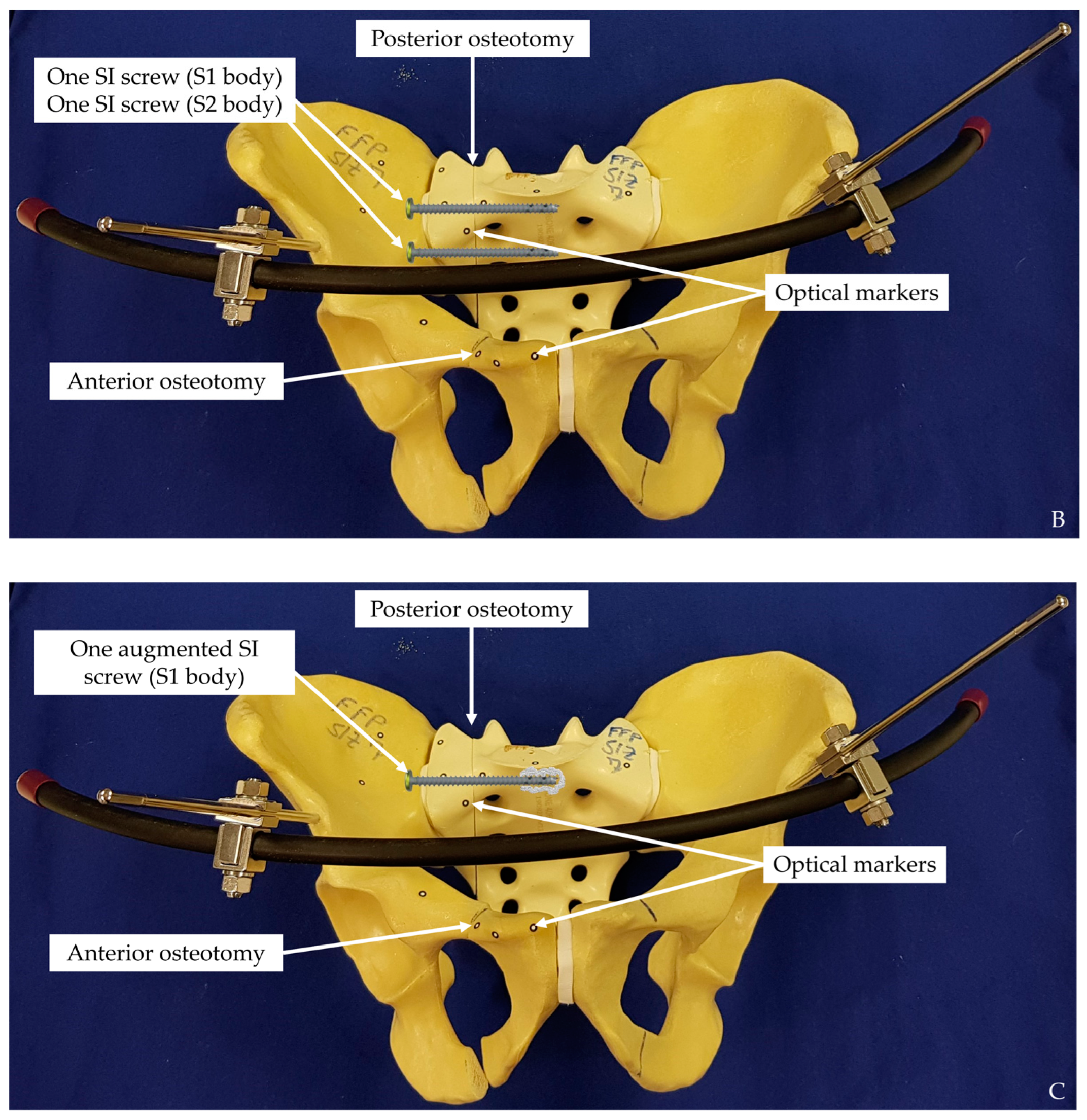 Medicina 57 01368 g003b