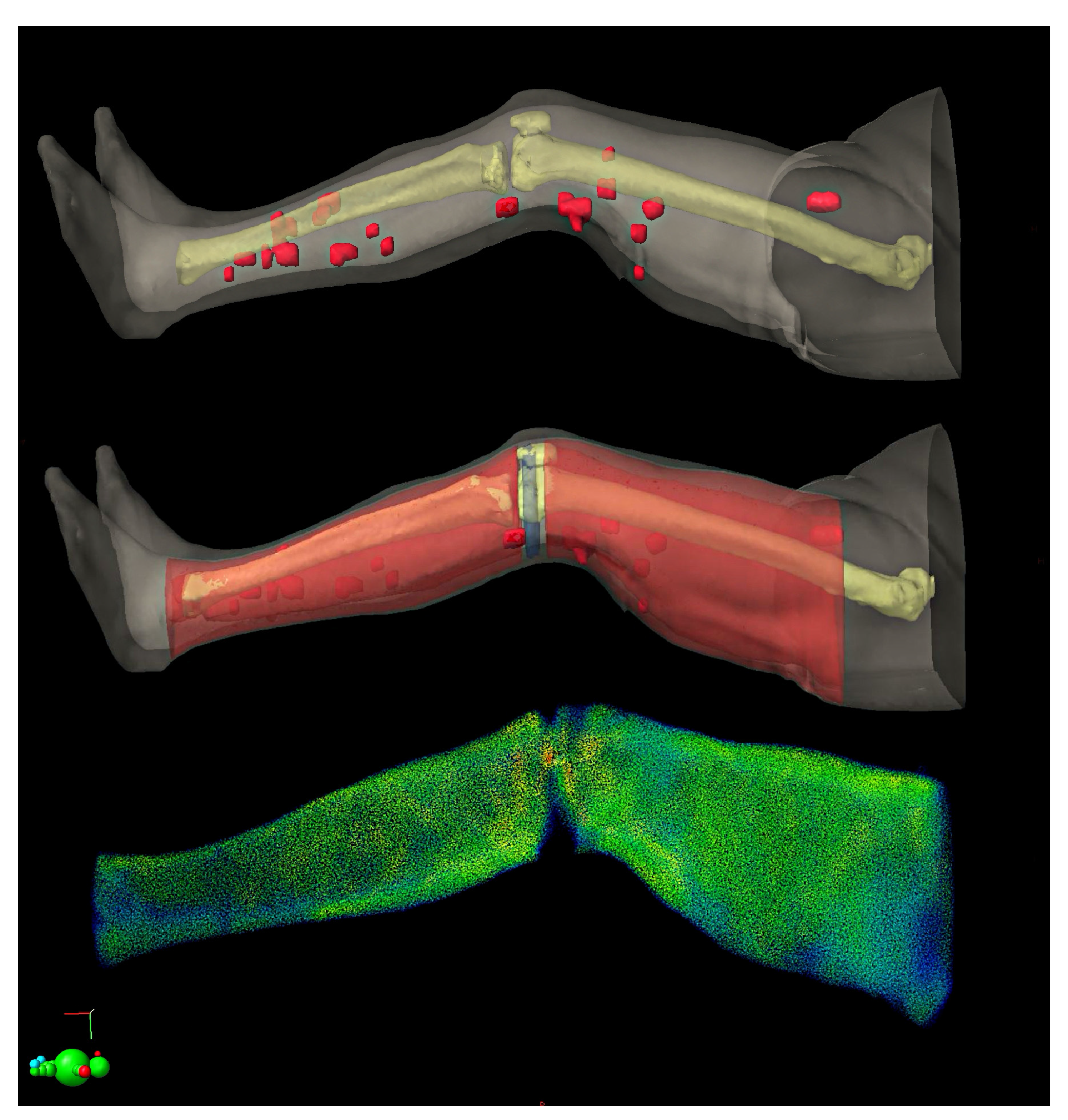 Medicina 57 01379 g002