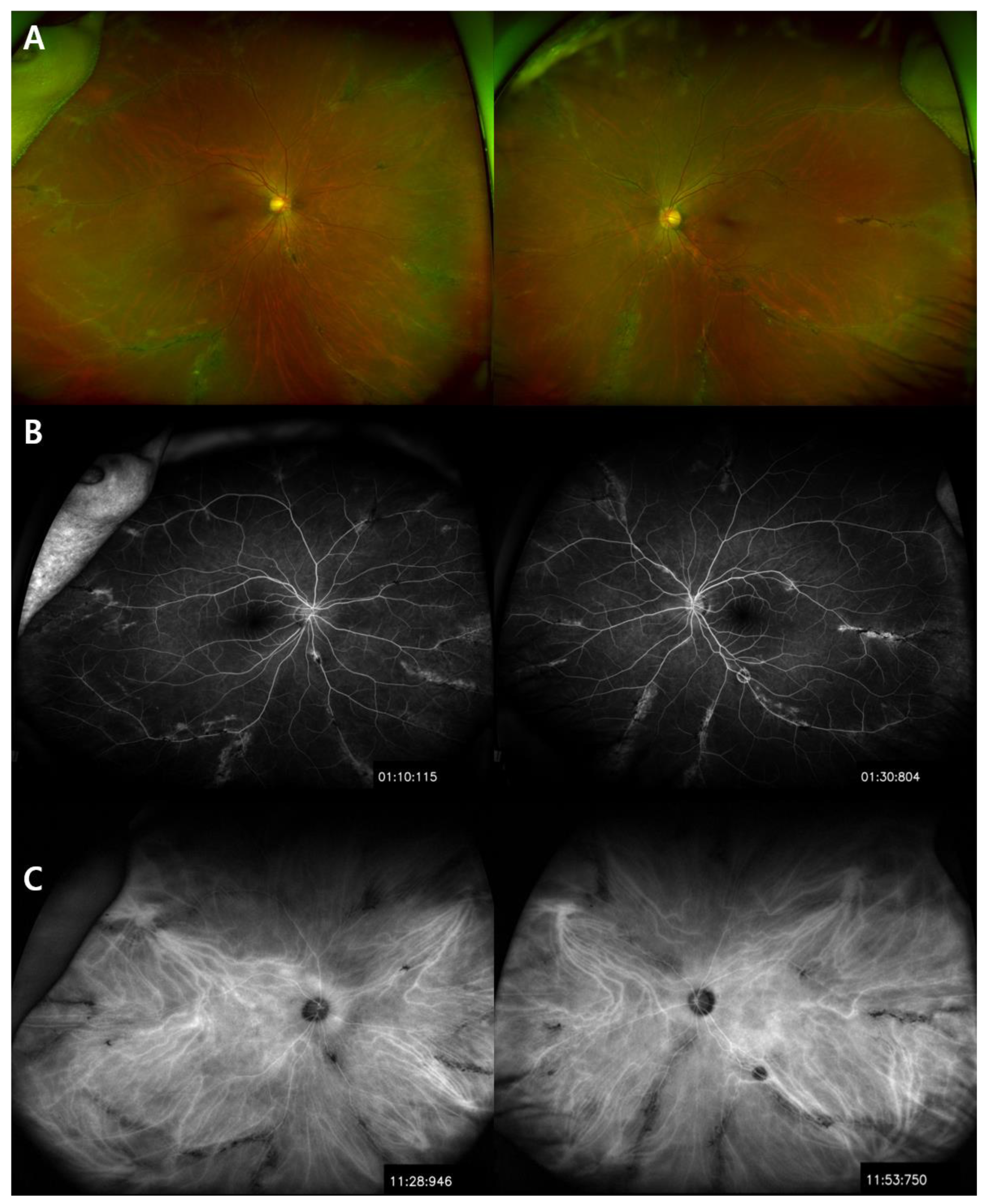 Medicina 57 01382 g001 550