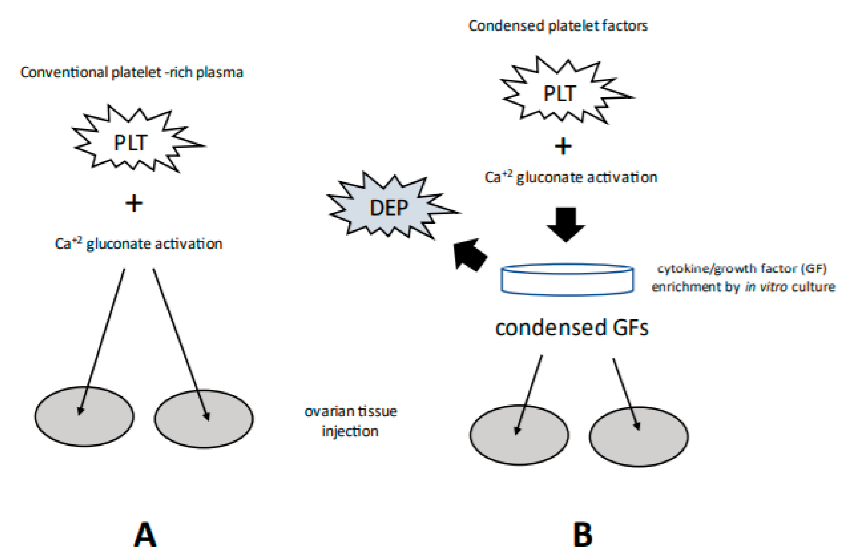 Medicina 58 00003 g001