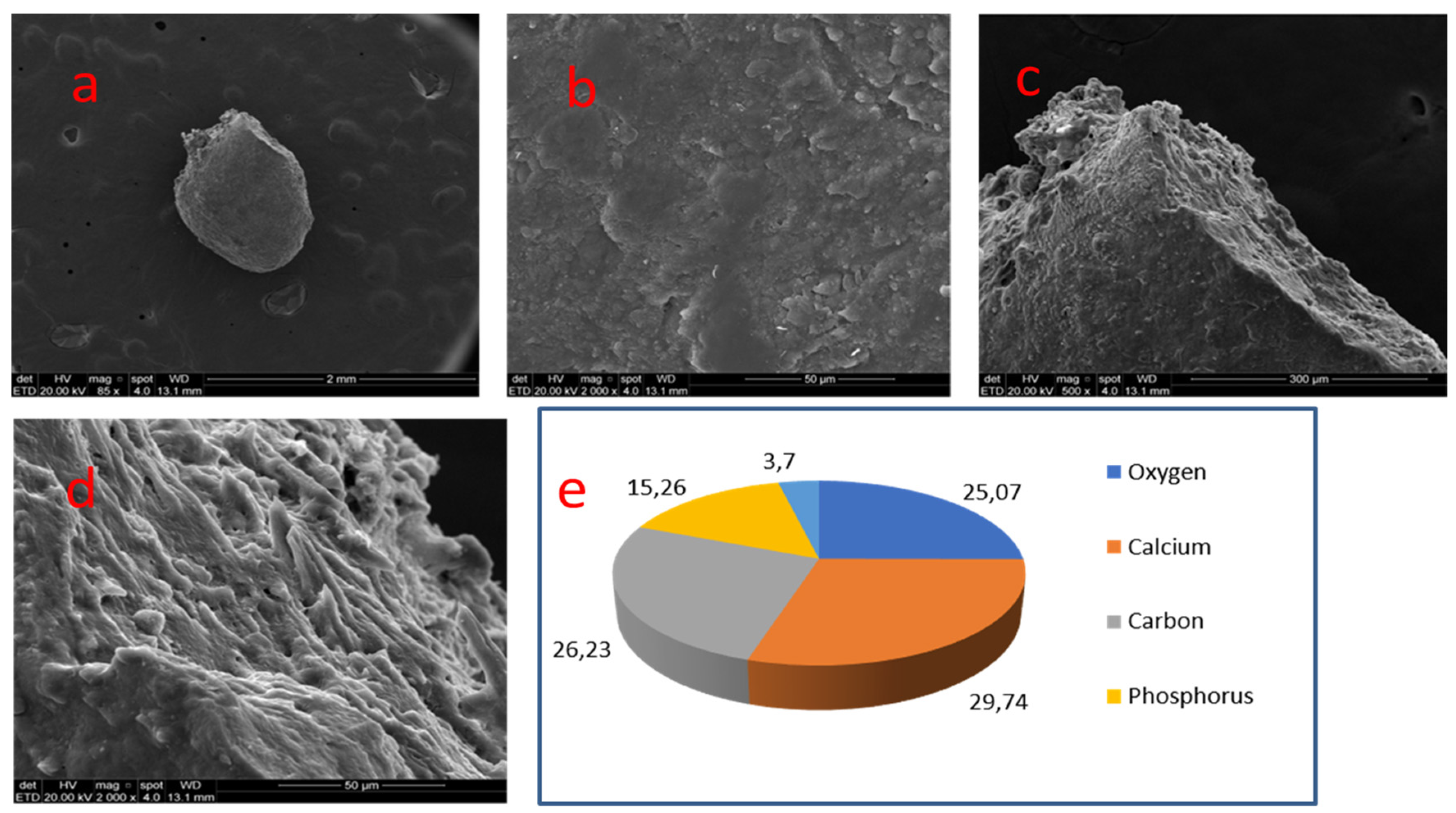 Medicina 58 00005 g006 550