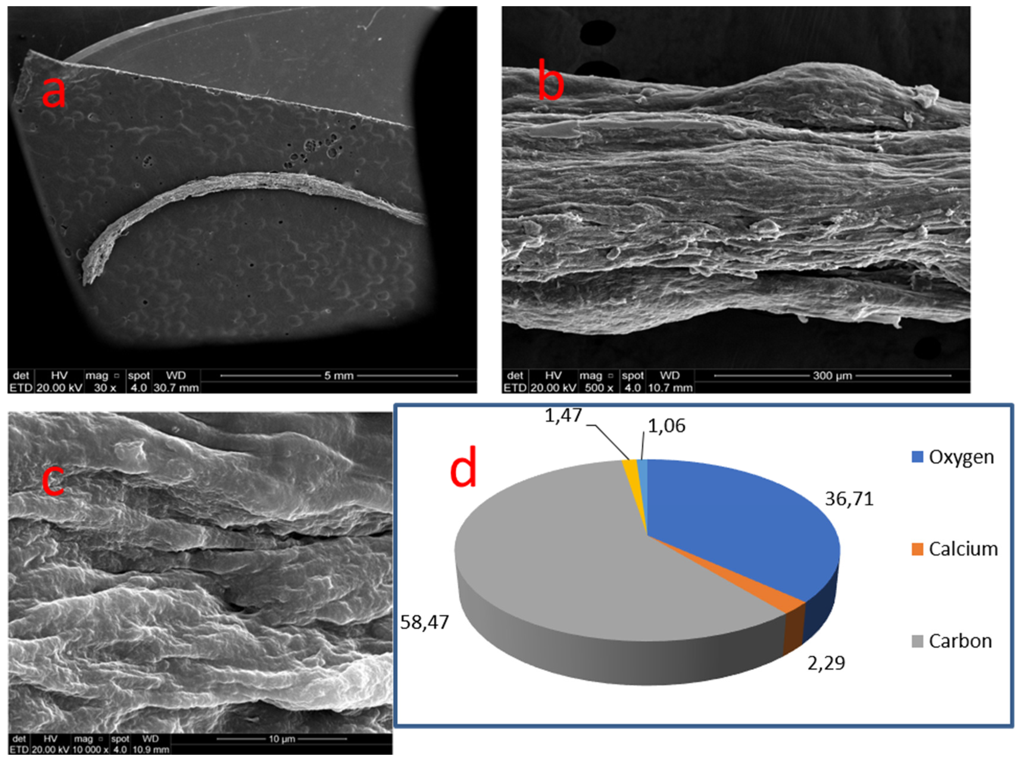 Medicina 58 00005 g009 550