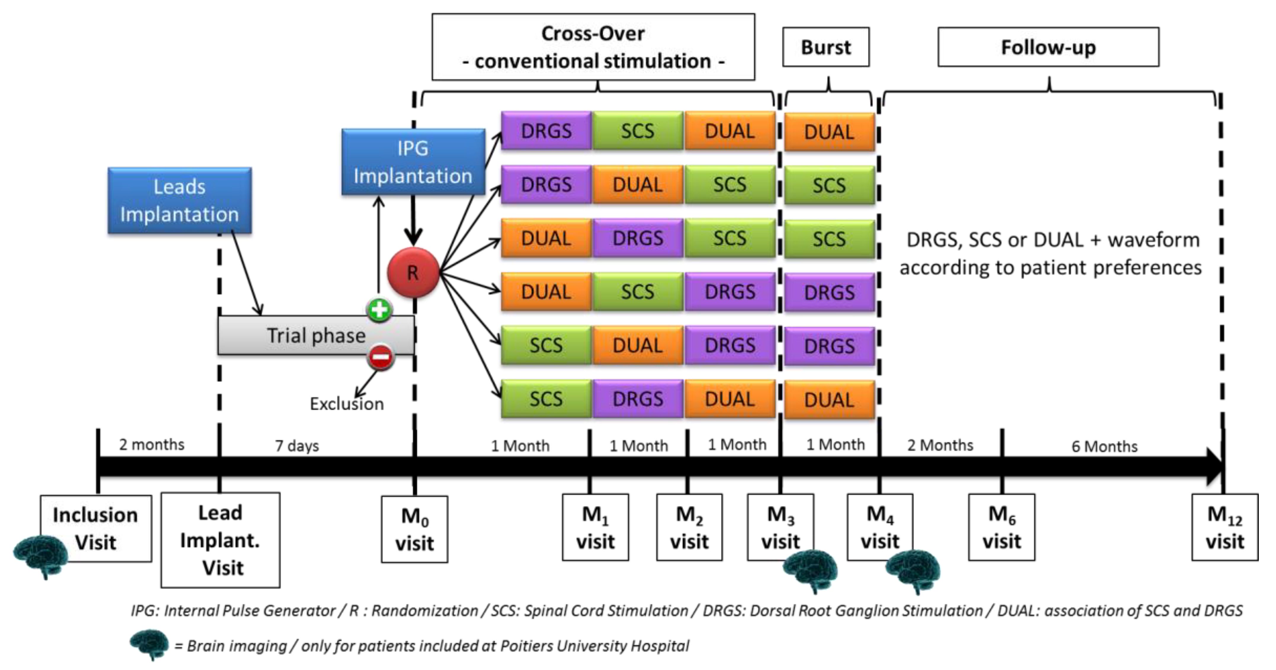 the dorsal root ganglia consist mainly of