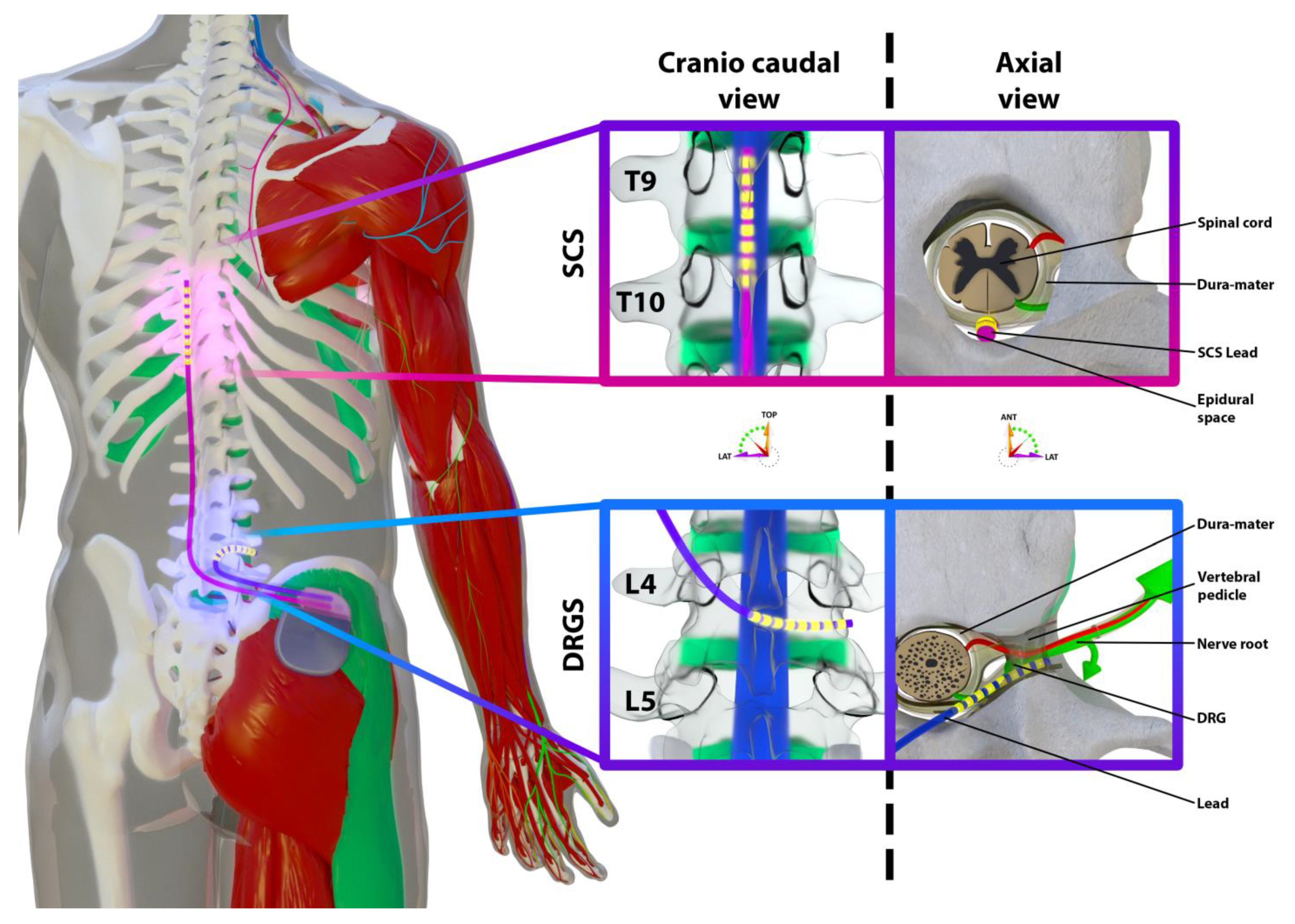 Medicina 58 00007 g002 550