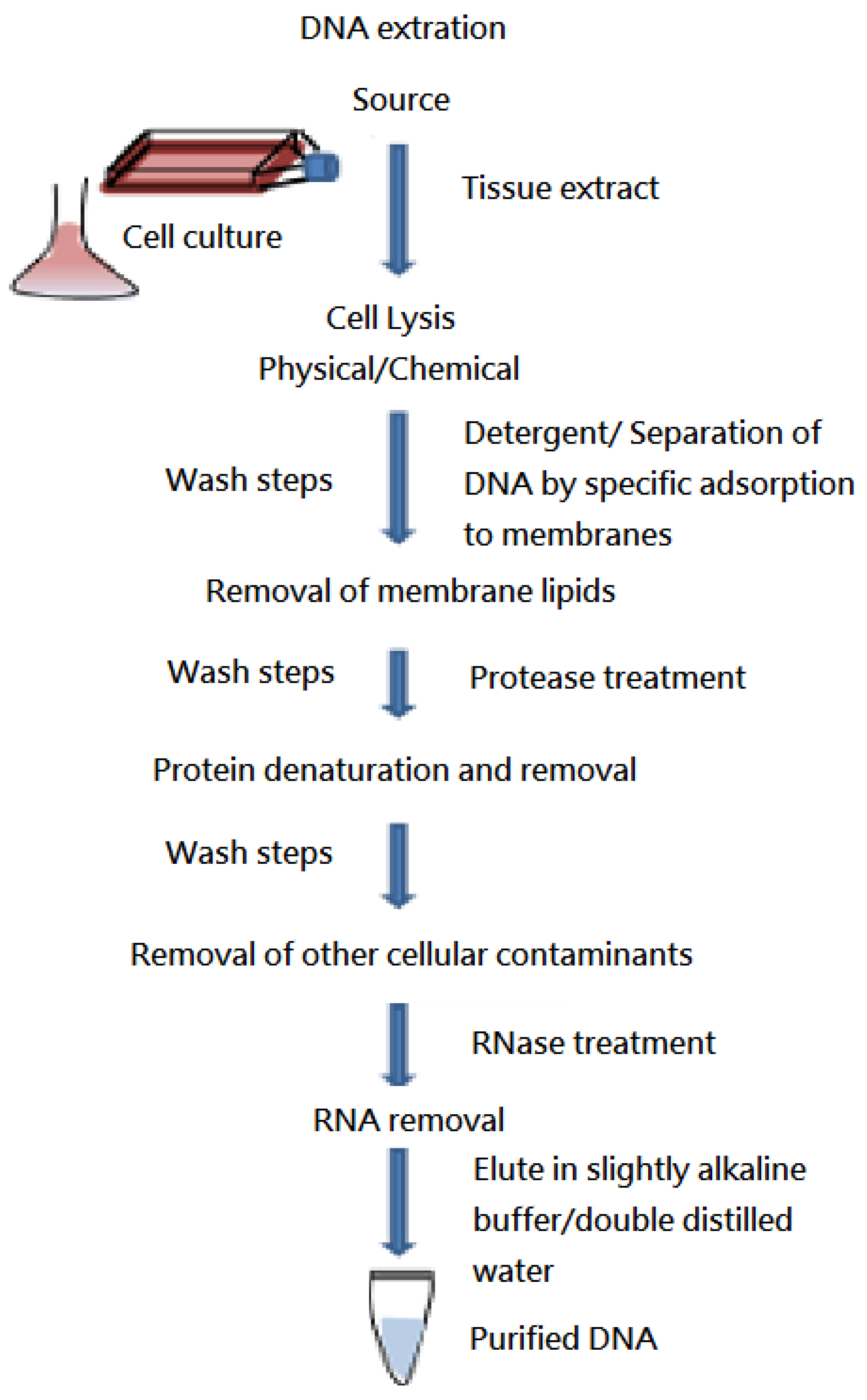 Medicina 58 00015 g001 Medicina 58 00015 g001