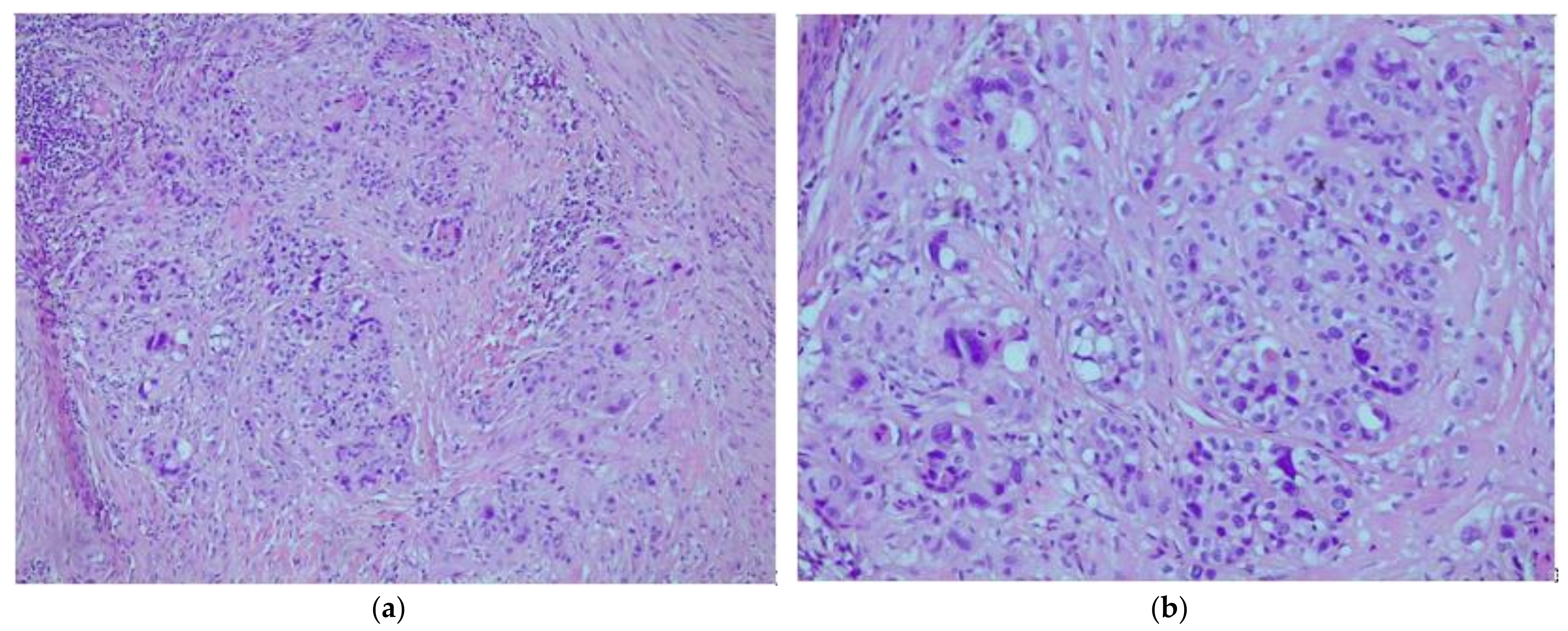 Medicina 58 00034 g001 550