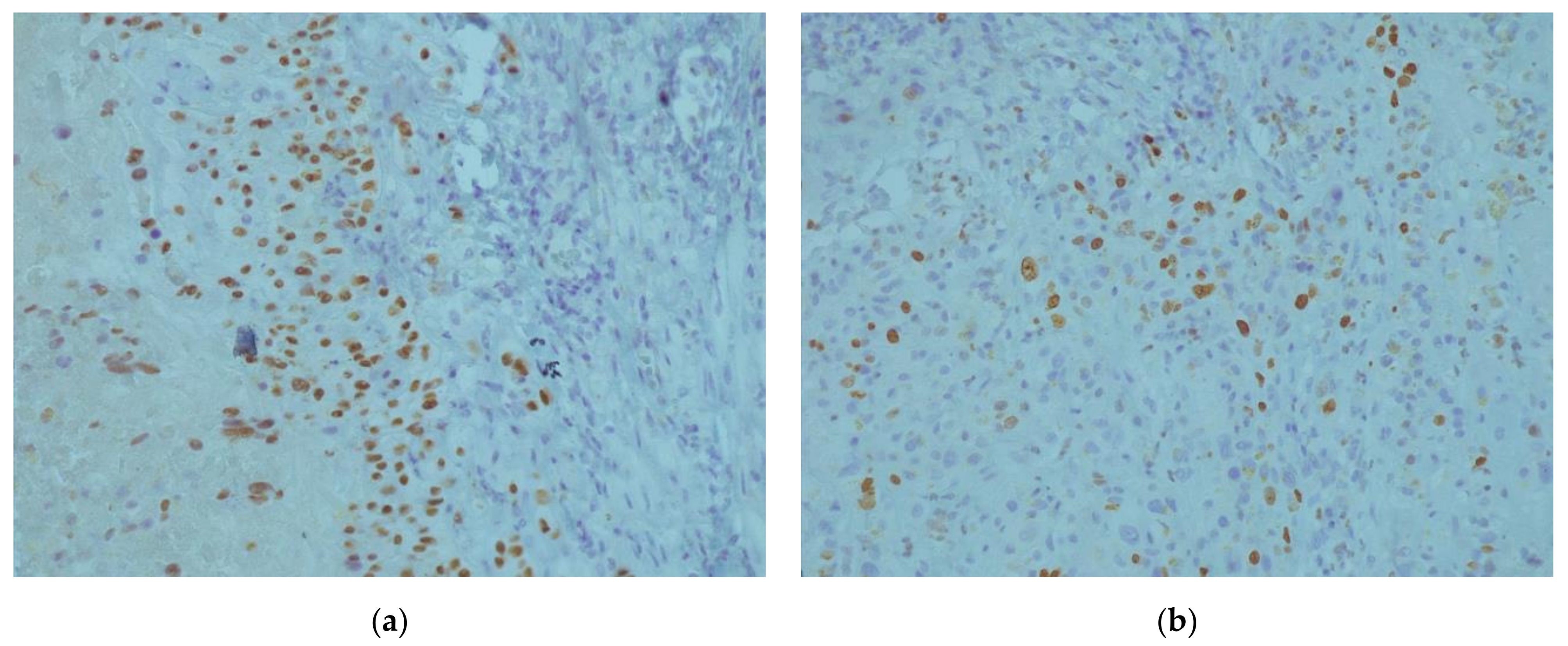 Medicina 58 00034 g003 550