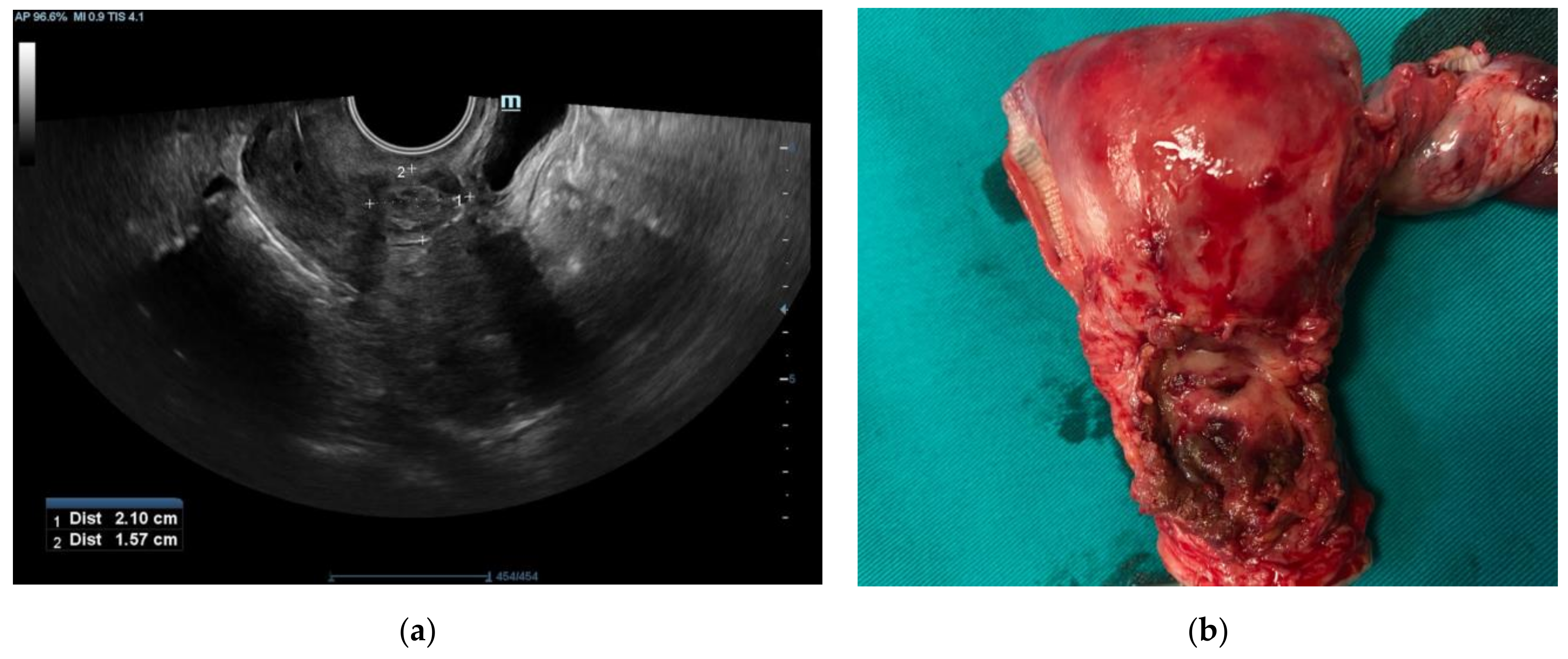 Medicina 58 00034 g004 550