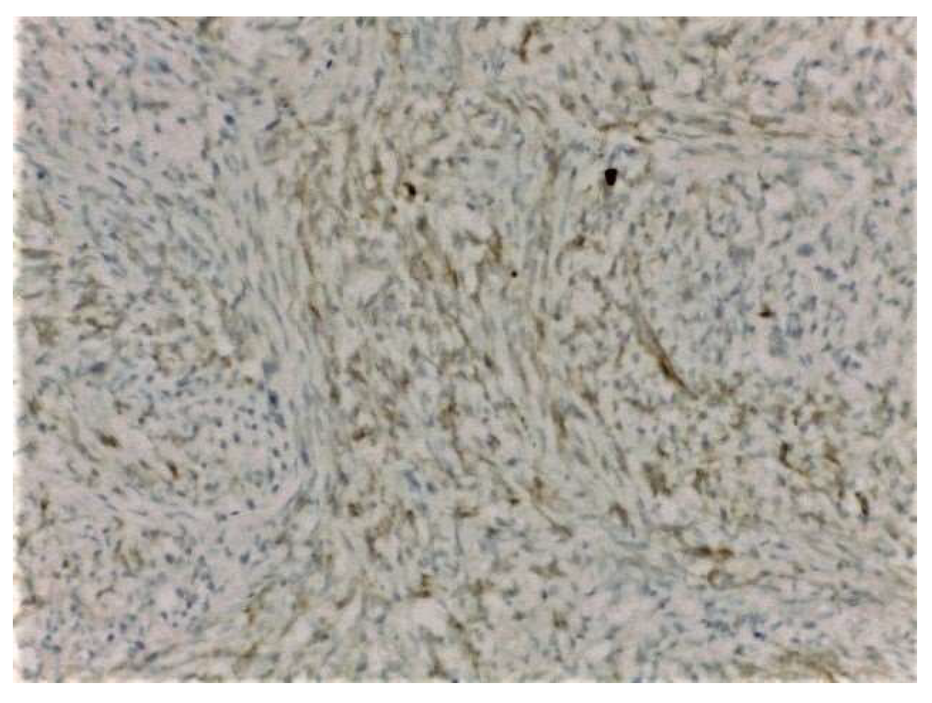 Medicina 58 00036 g004