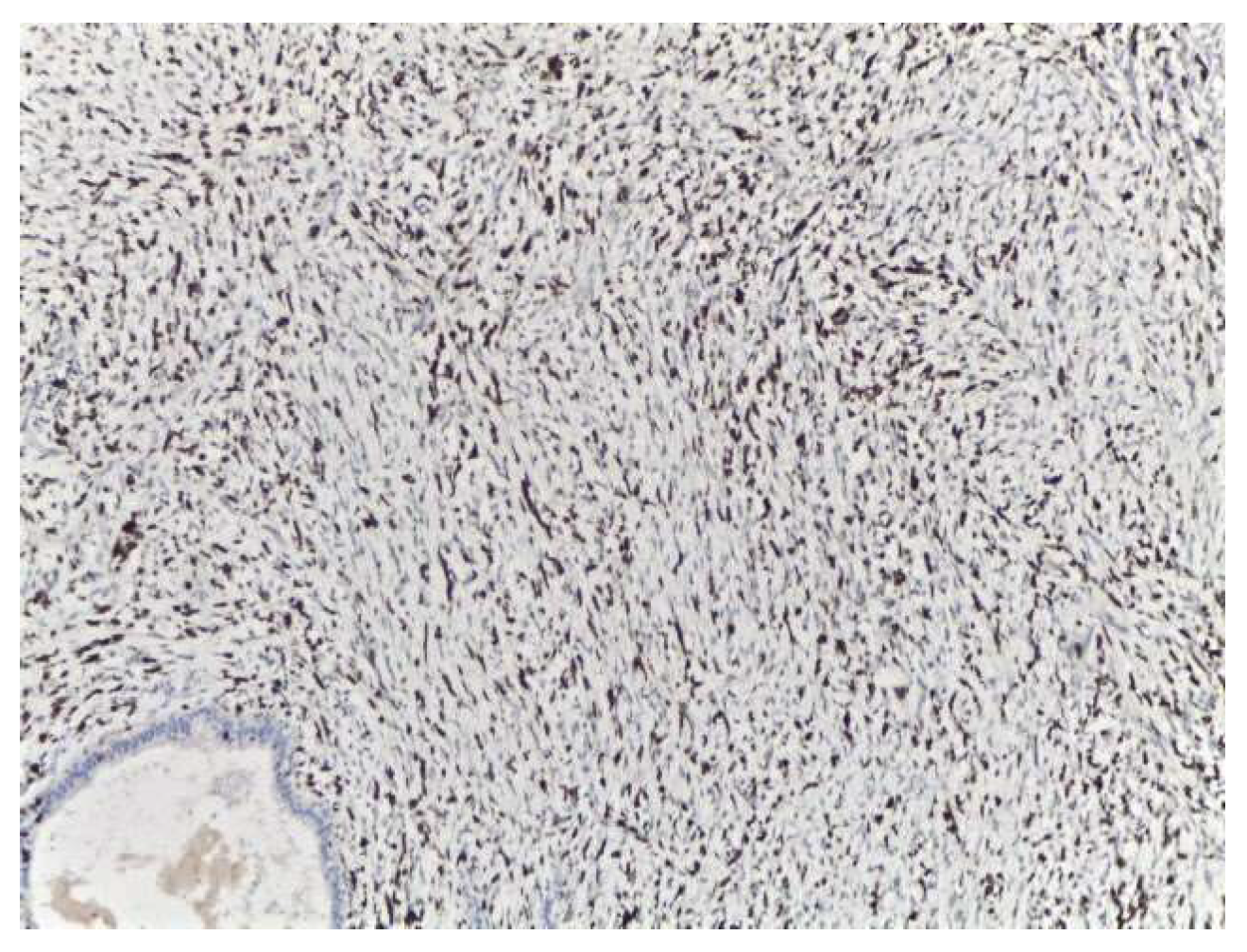 Medicina 58 00036 g007