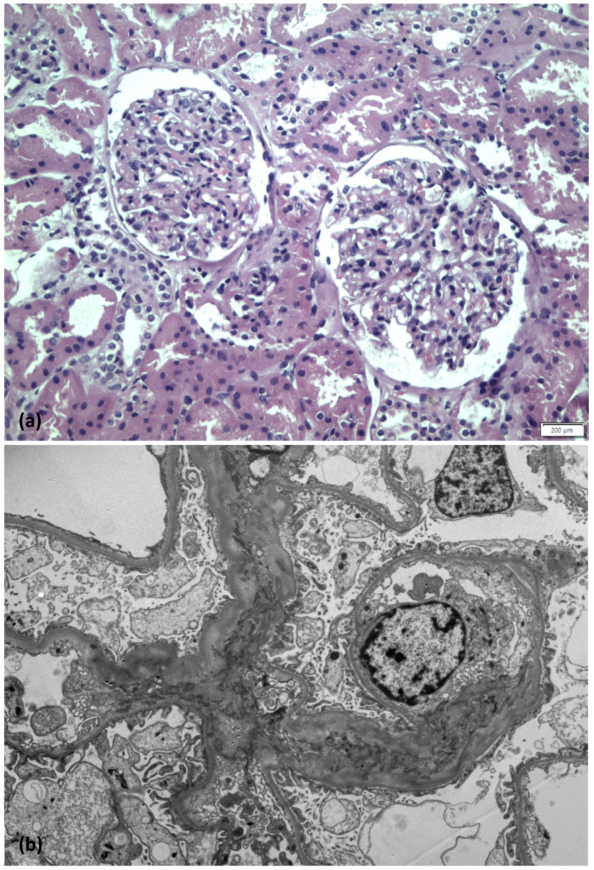 Medicina 58 00037 g002 550