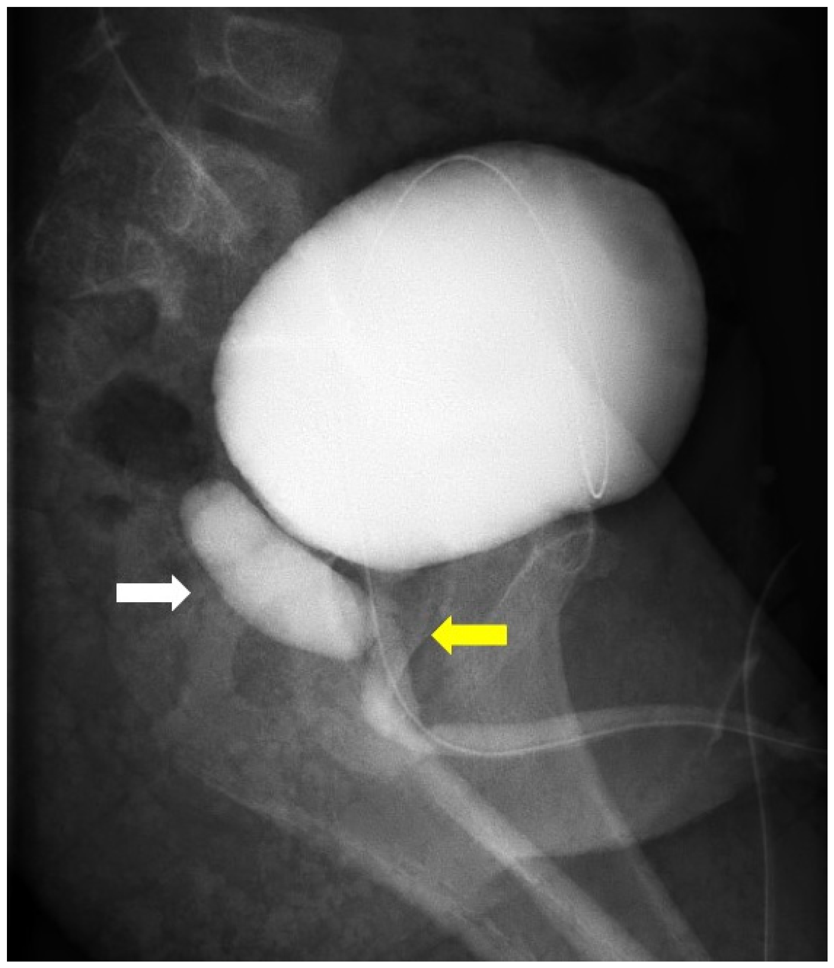 Medicina 58 00040 g001