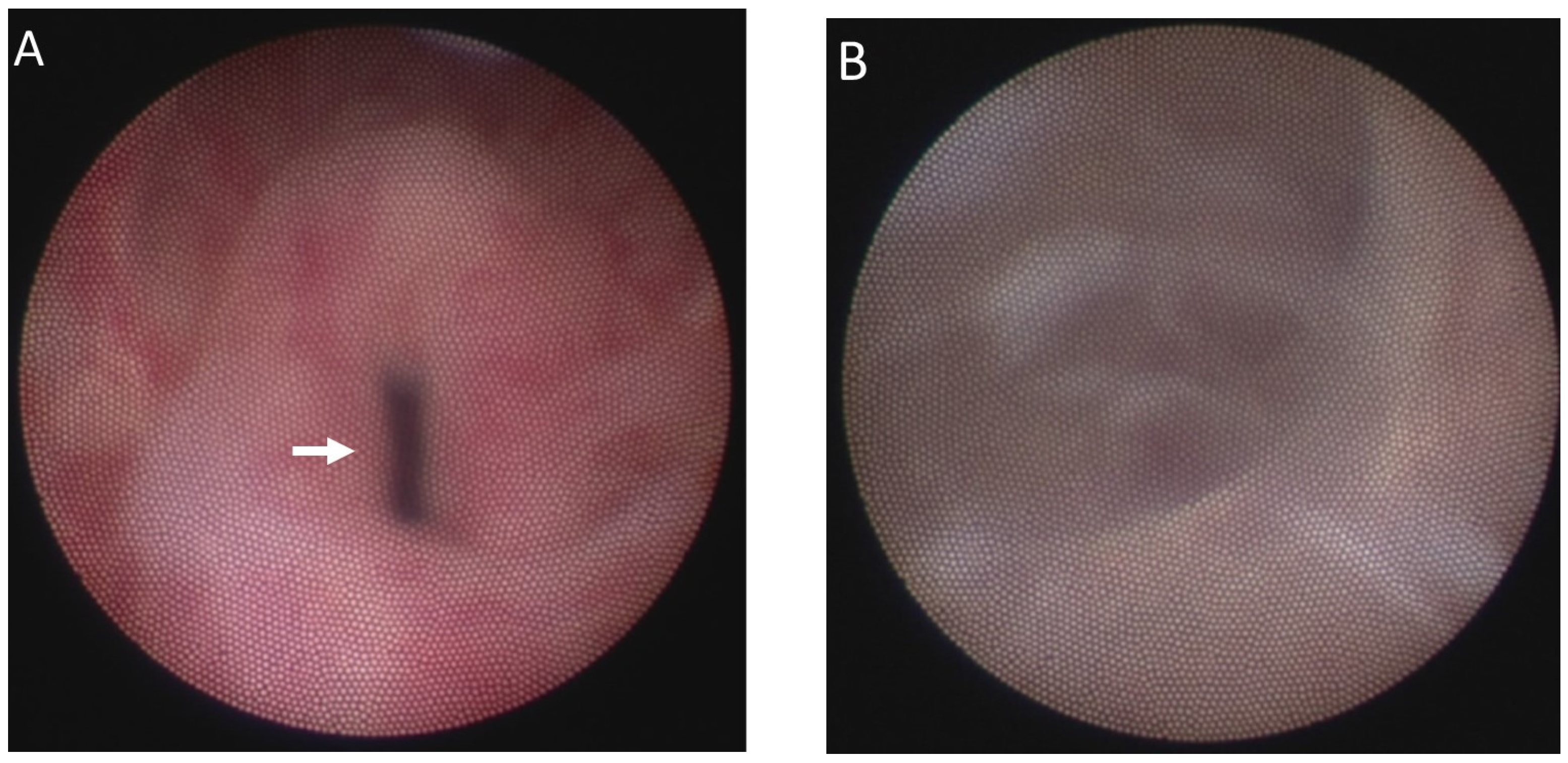 Medicina 58 00040 g002a