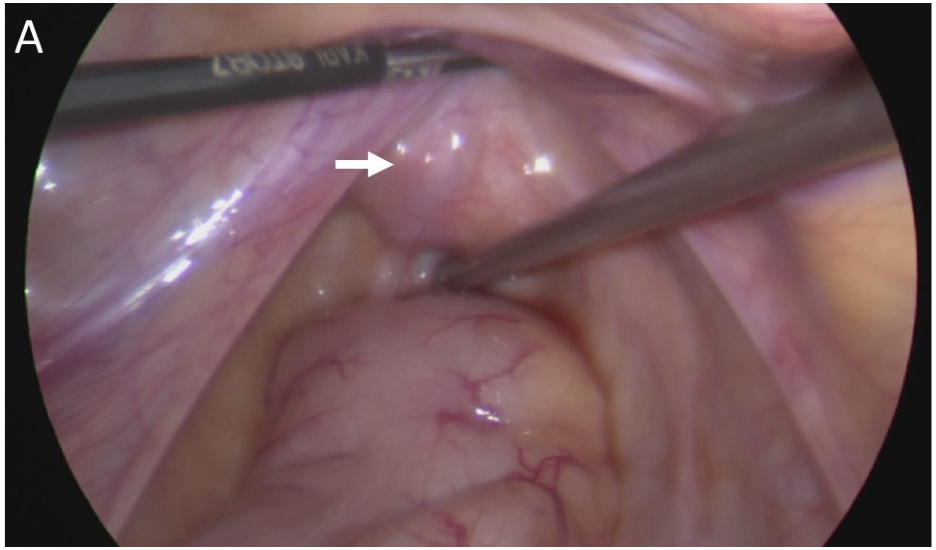 Medicina 58 00040 g003a