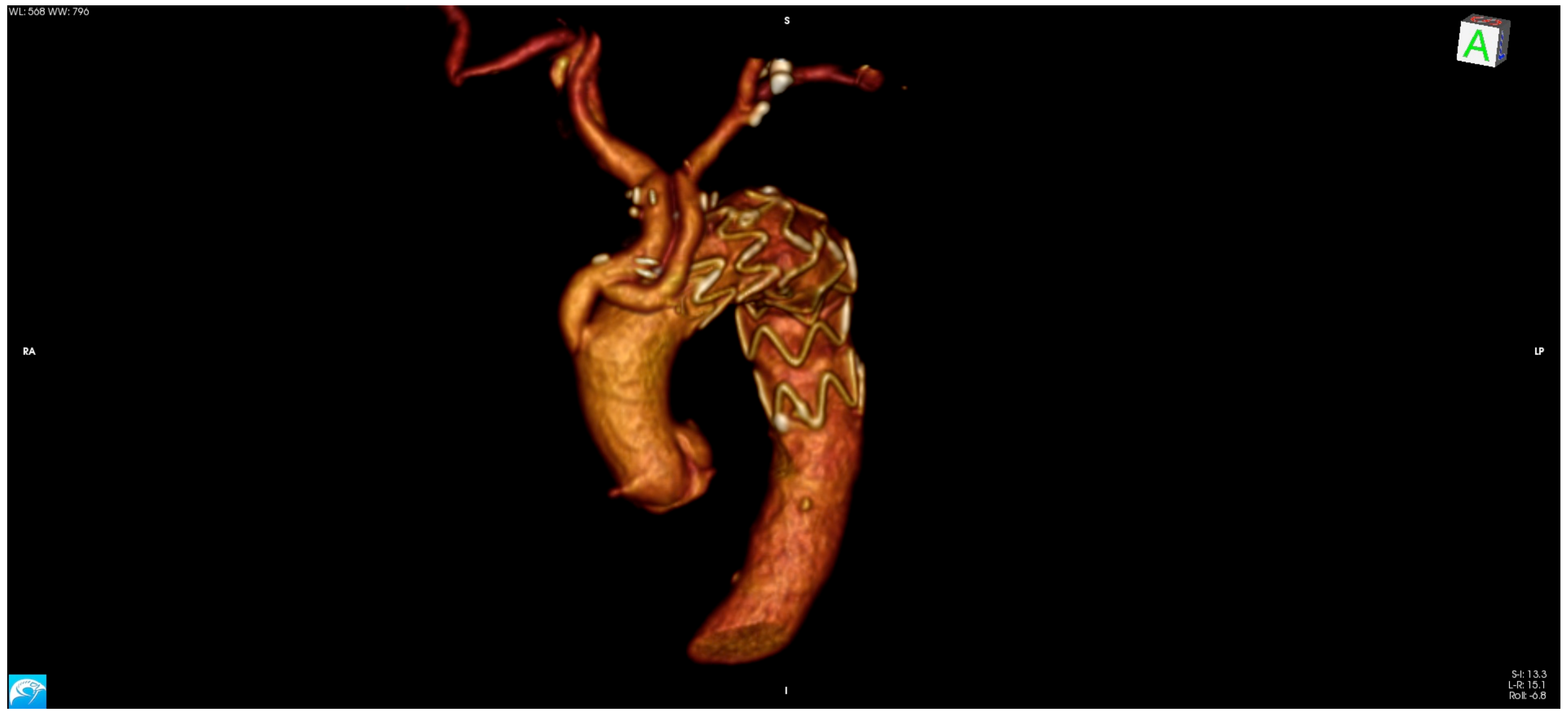 Medicina 58 00049 g002