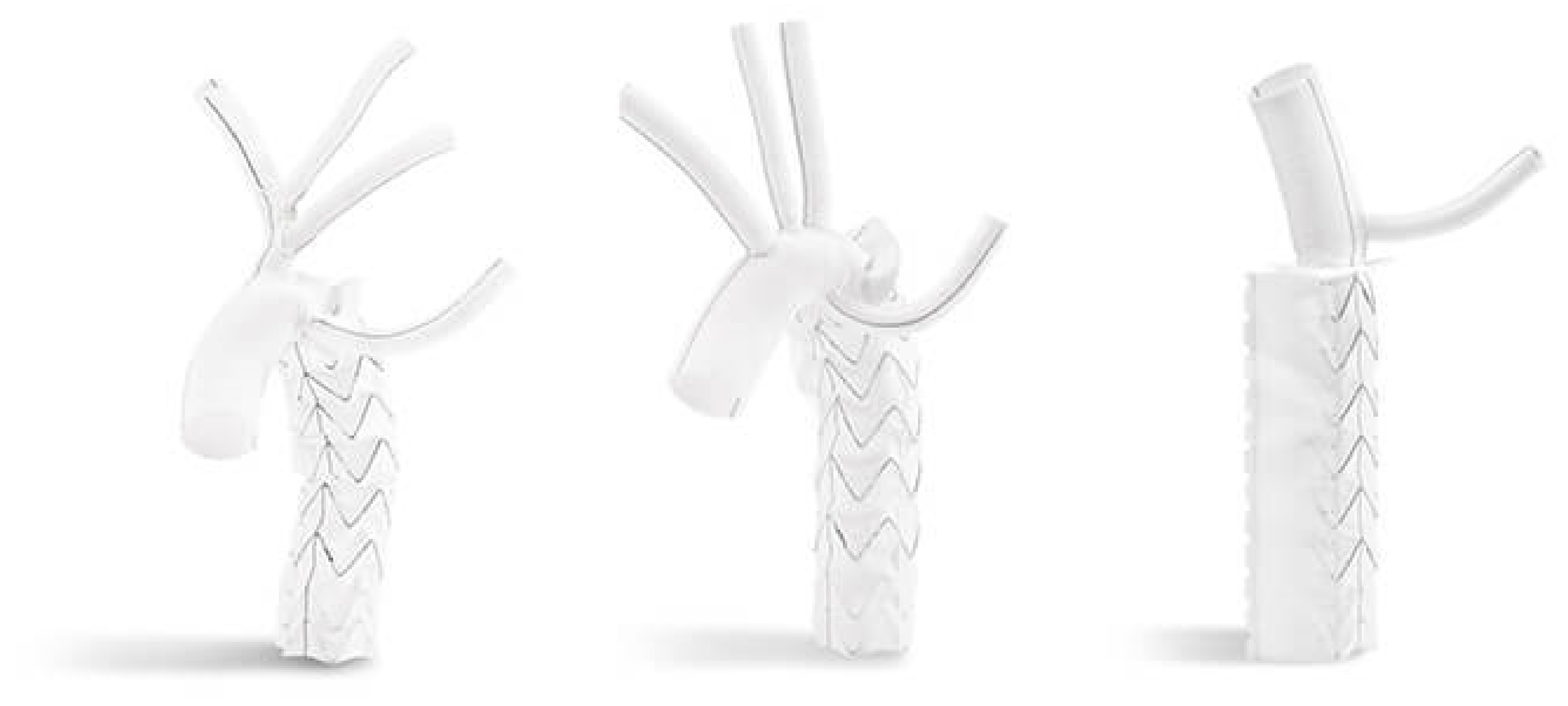 Medicina 58 00049 g005