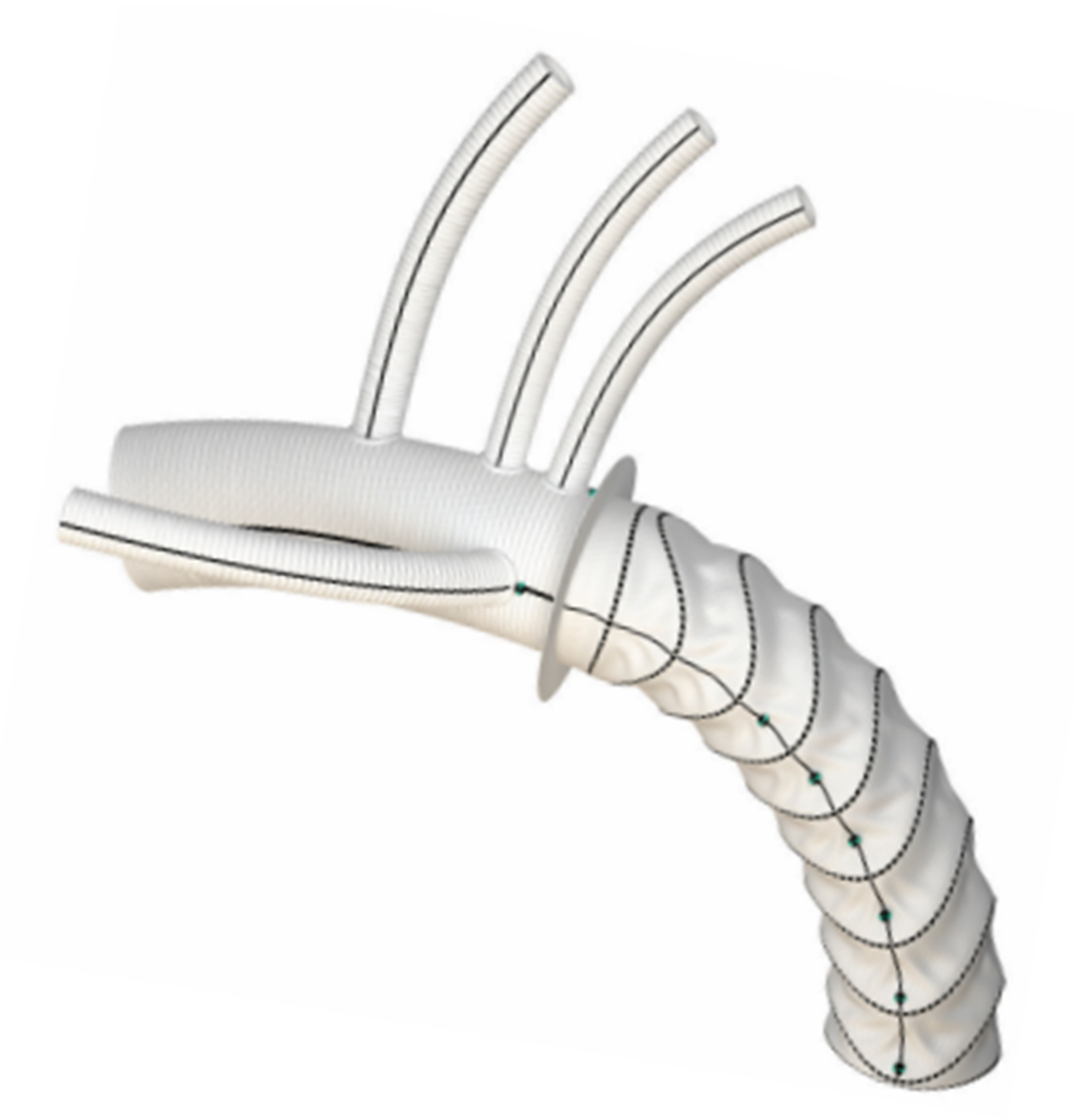 Medicina 58 00049 g006