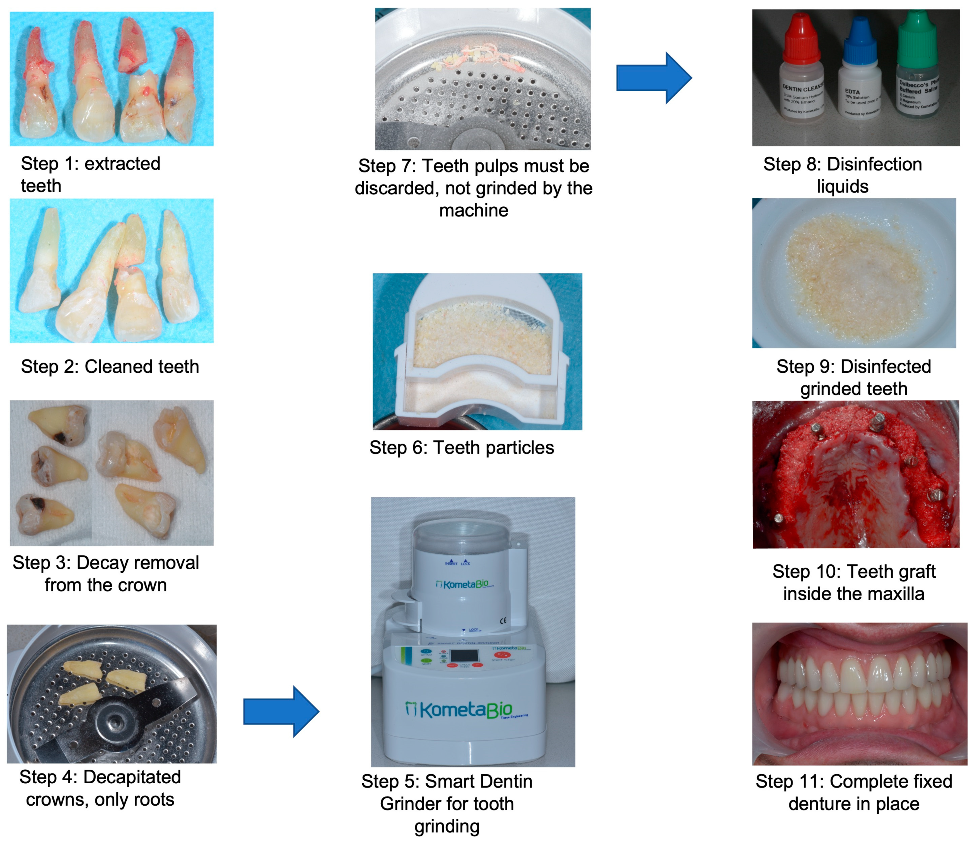 Medicina 58 00056 ch001 550