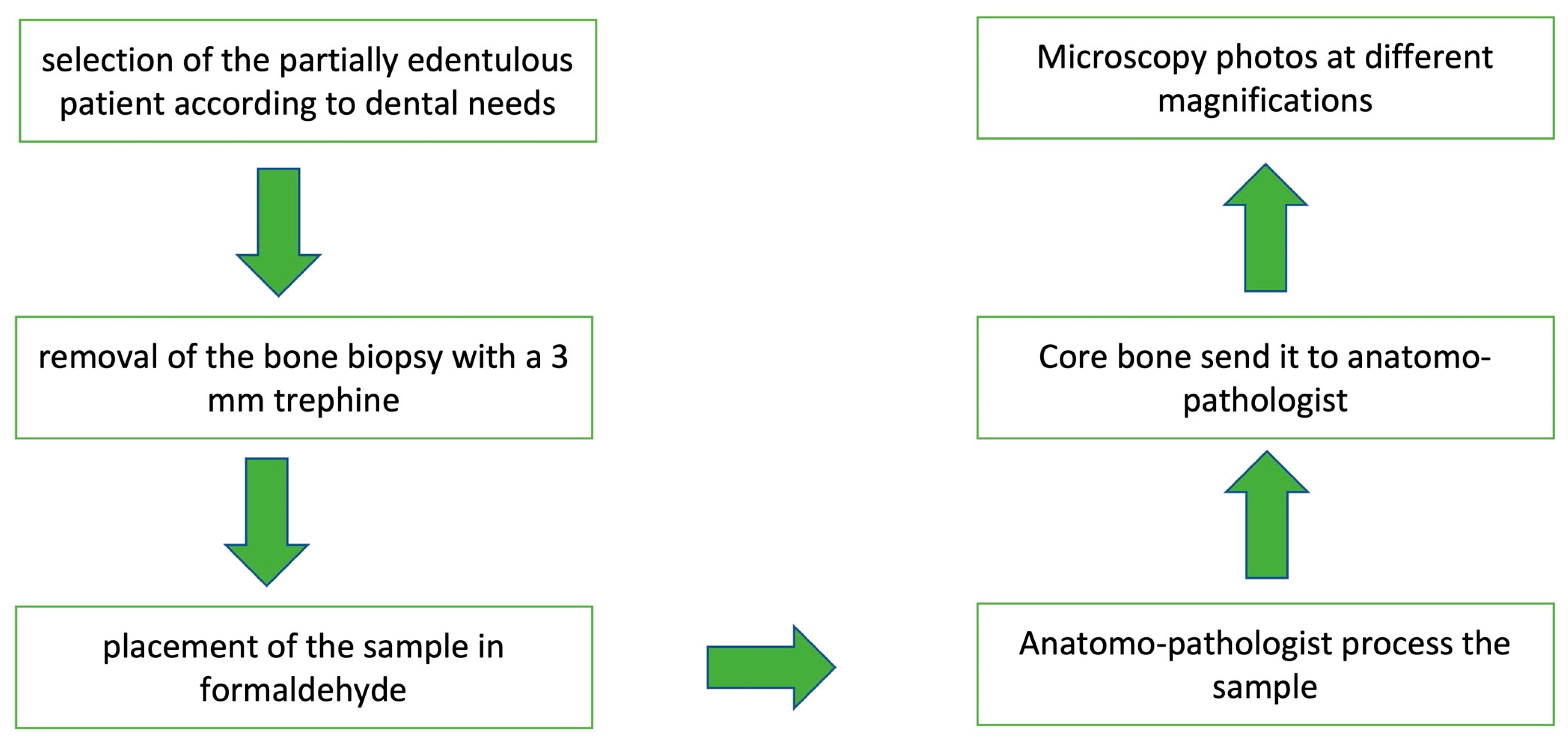 Medicina 58 00056 ch002 550
