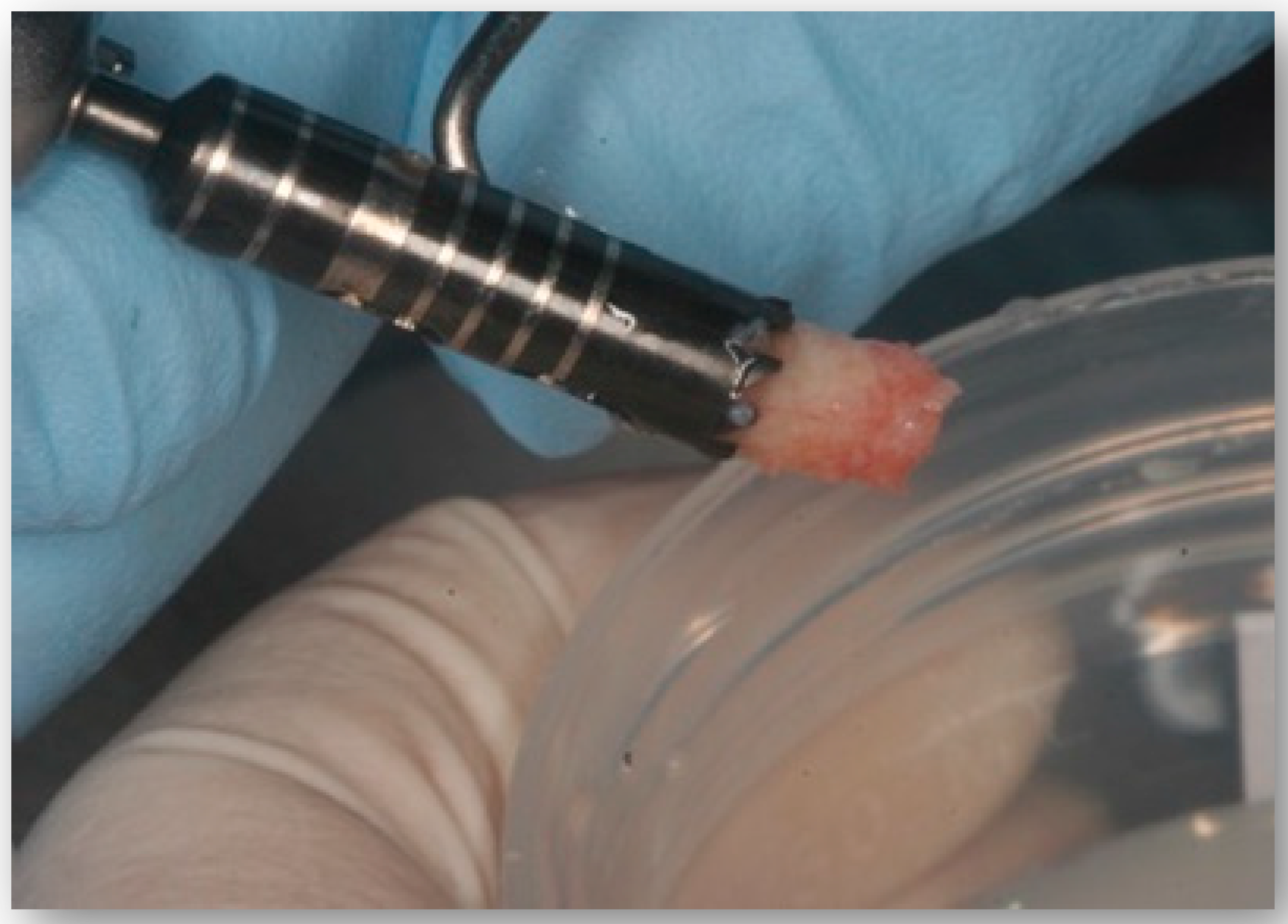 Medicina 58 00056 g002 550