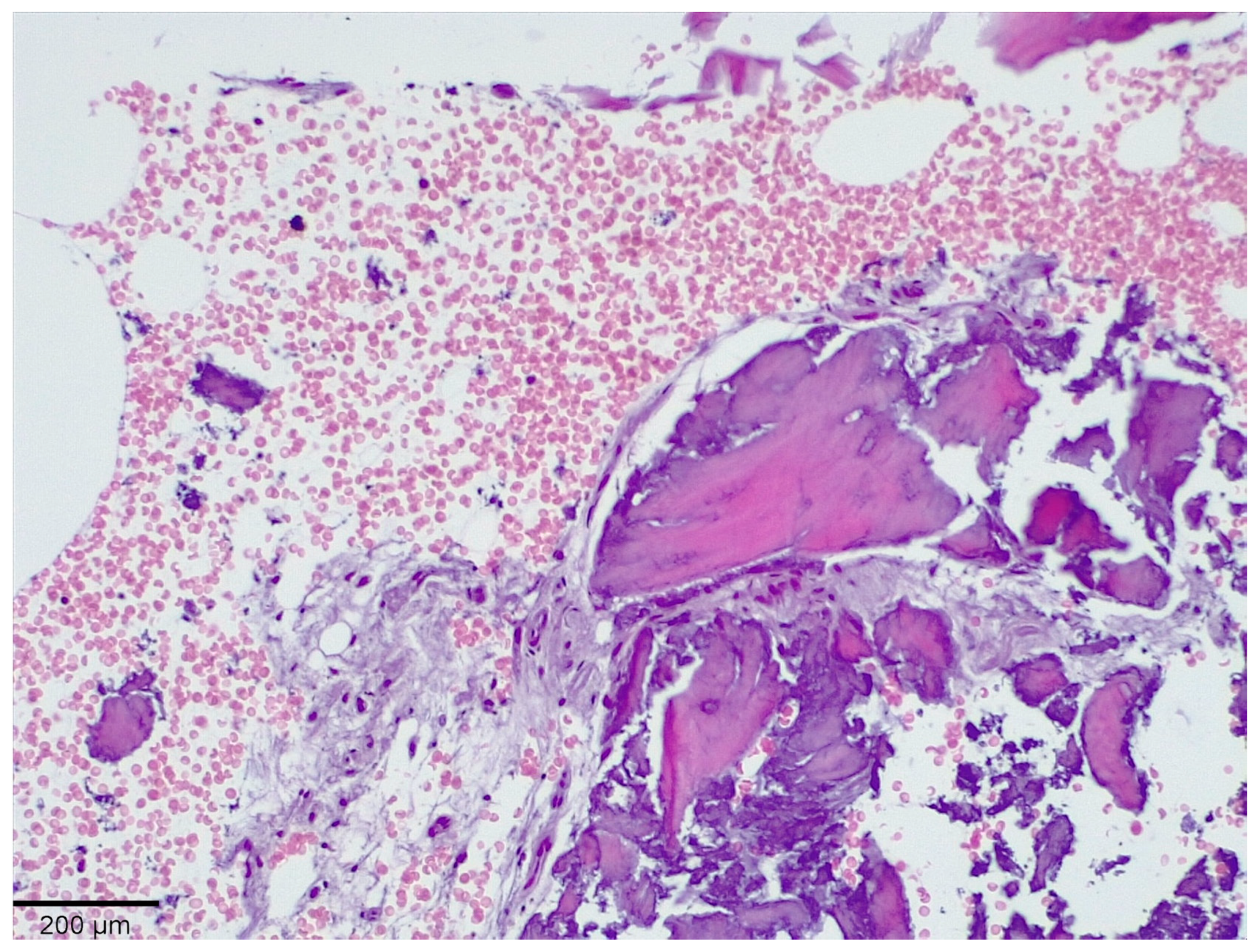 Medicina 58 00056 g003 550