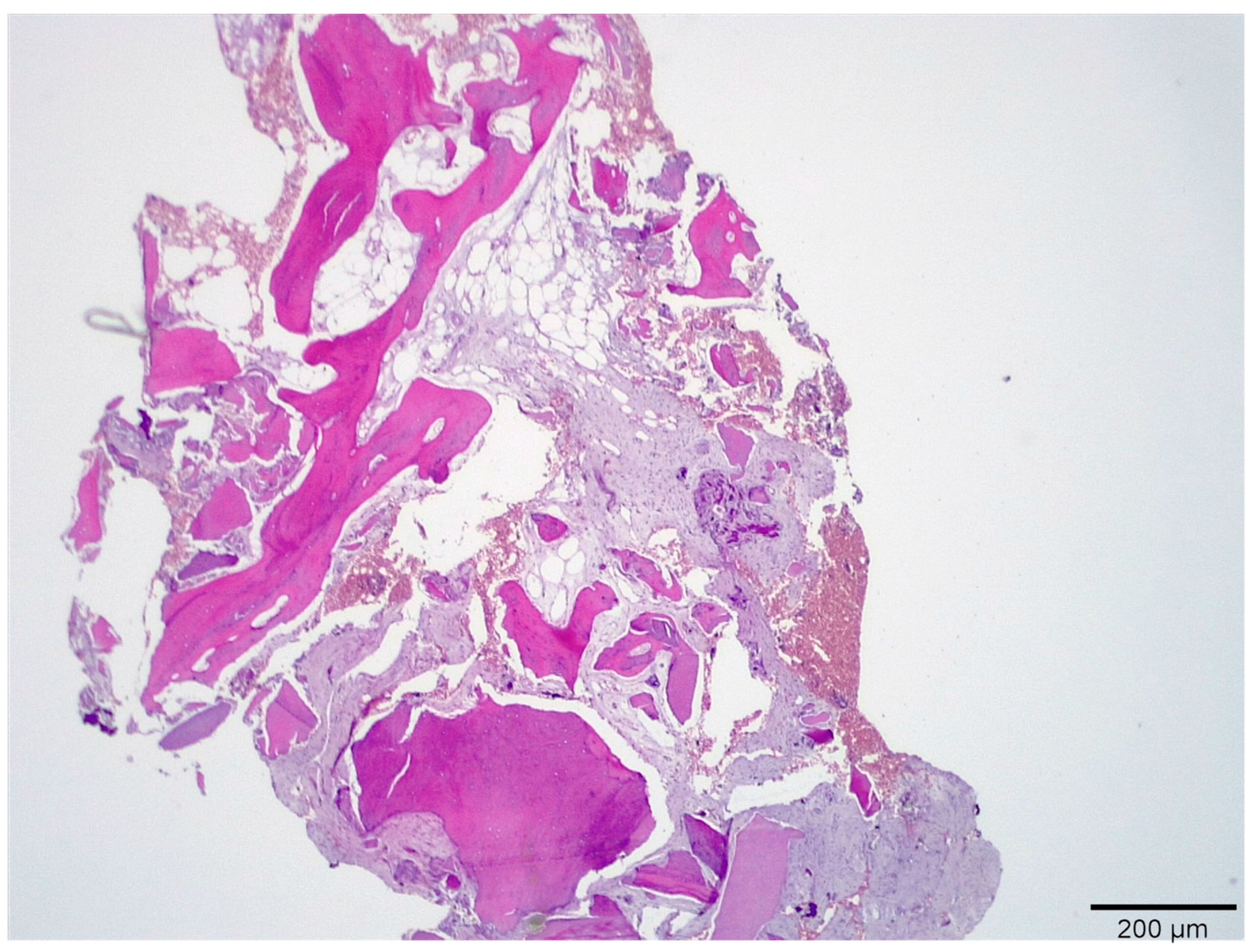 Medicina 58 00056 g005 550