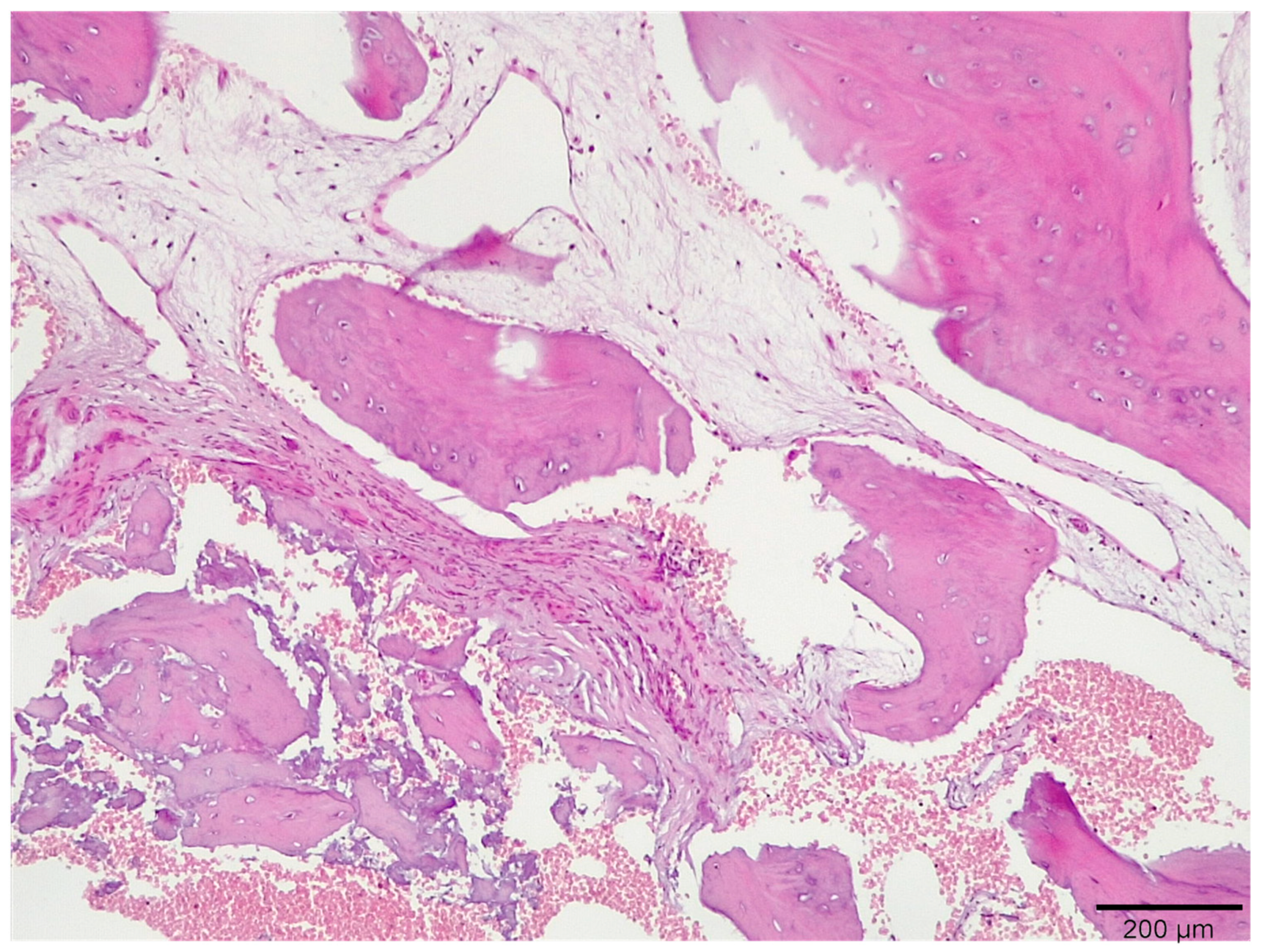 Medicina 58 00056 g006 550