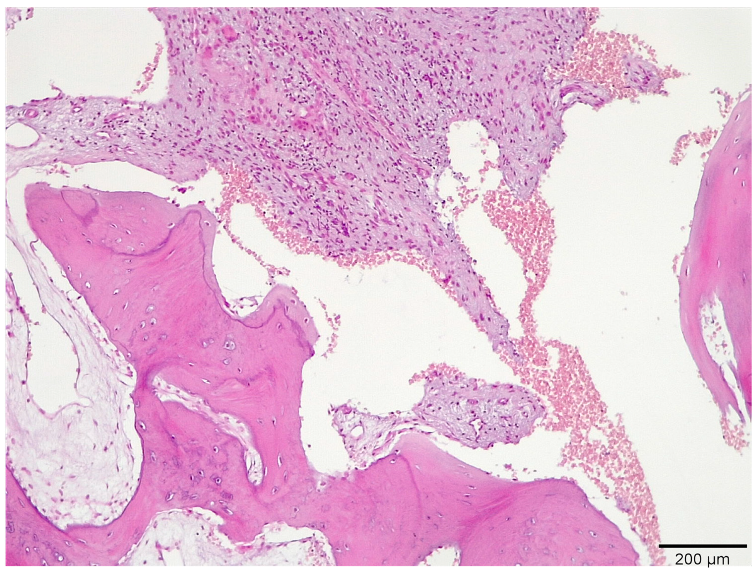 Medicina 58 00056 g007 550