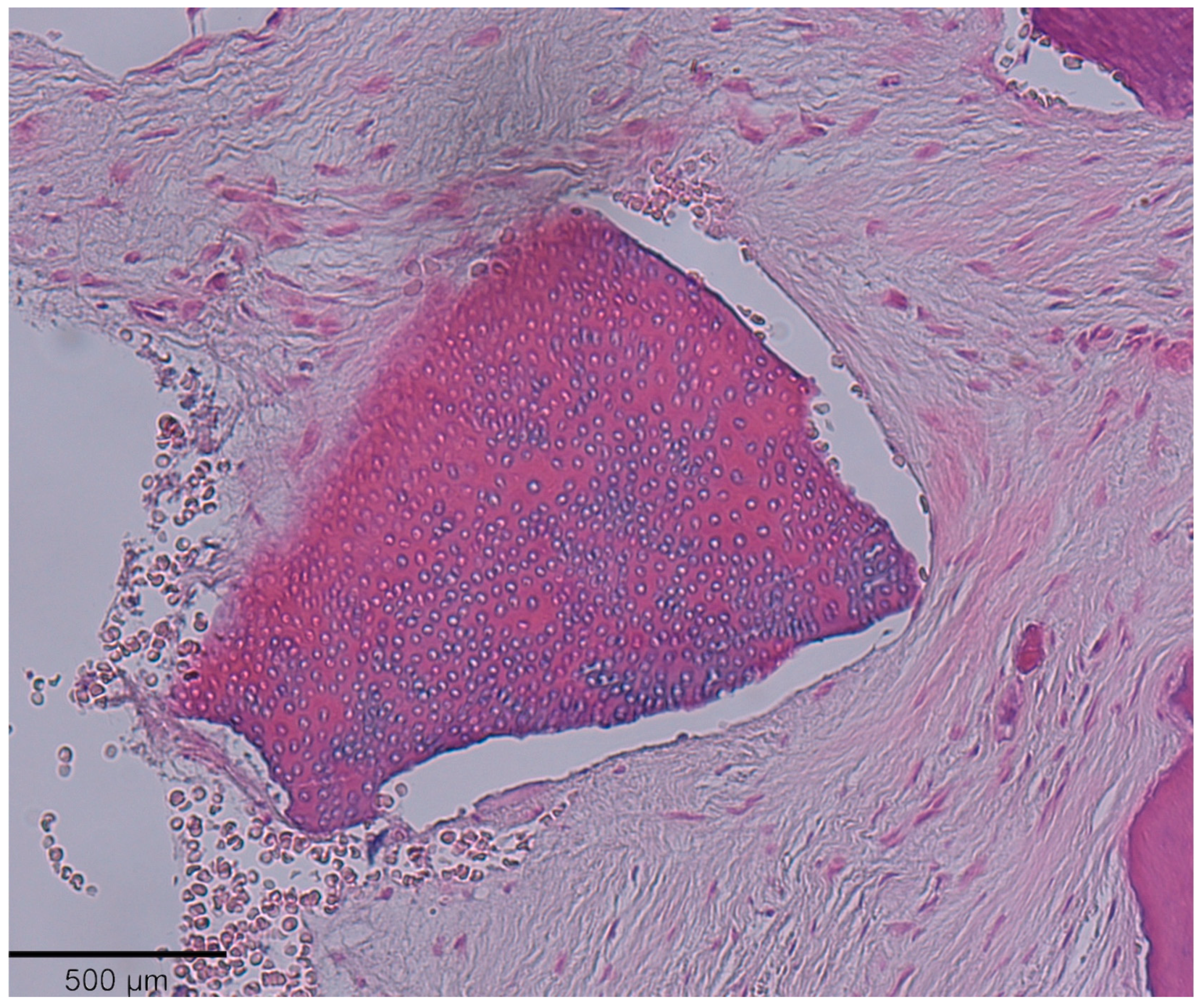 Medicina 58 00056 g008 550