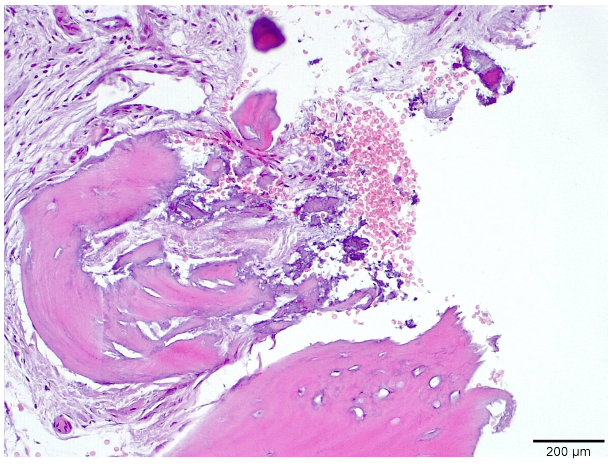 Medicina 58 00056 g009 550