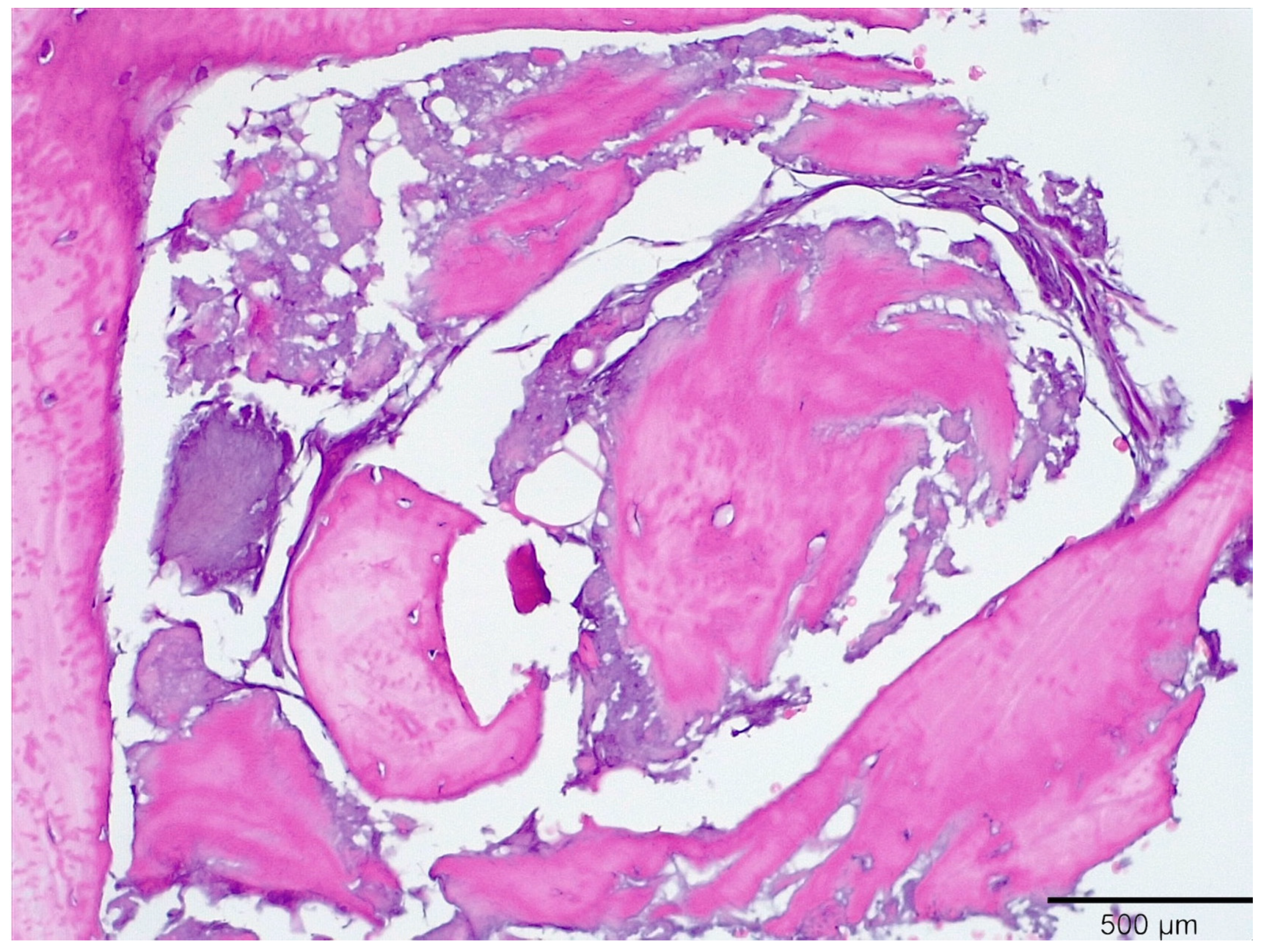 Medicina 58 00056 g010 550