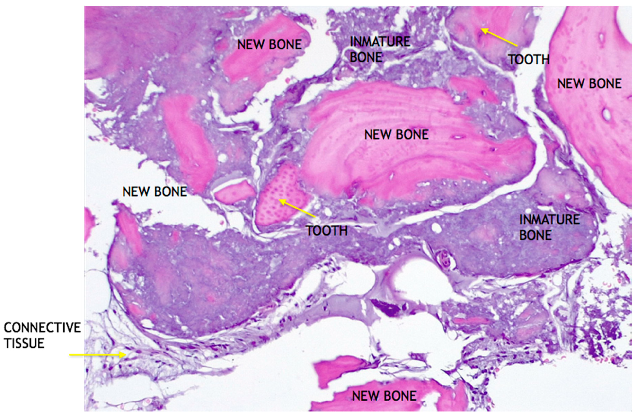 Medicina 58 00056 g011 550
