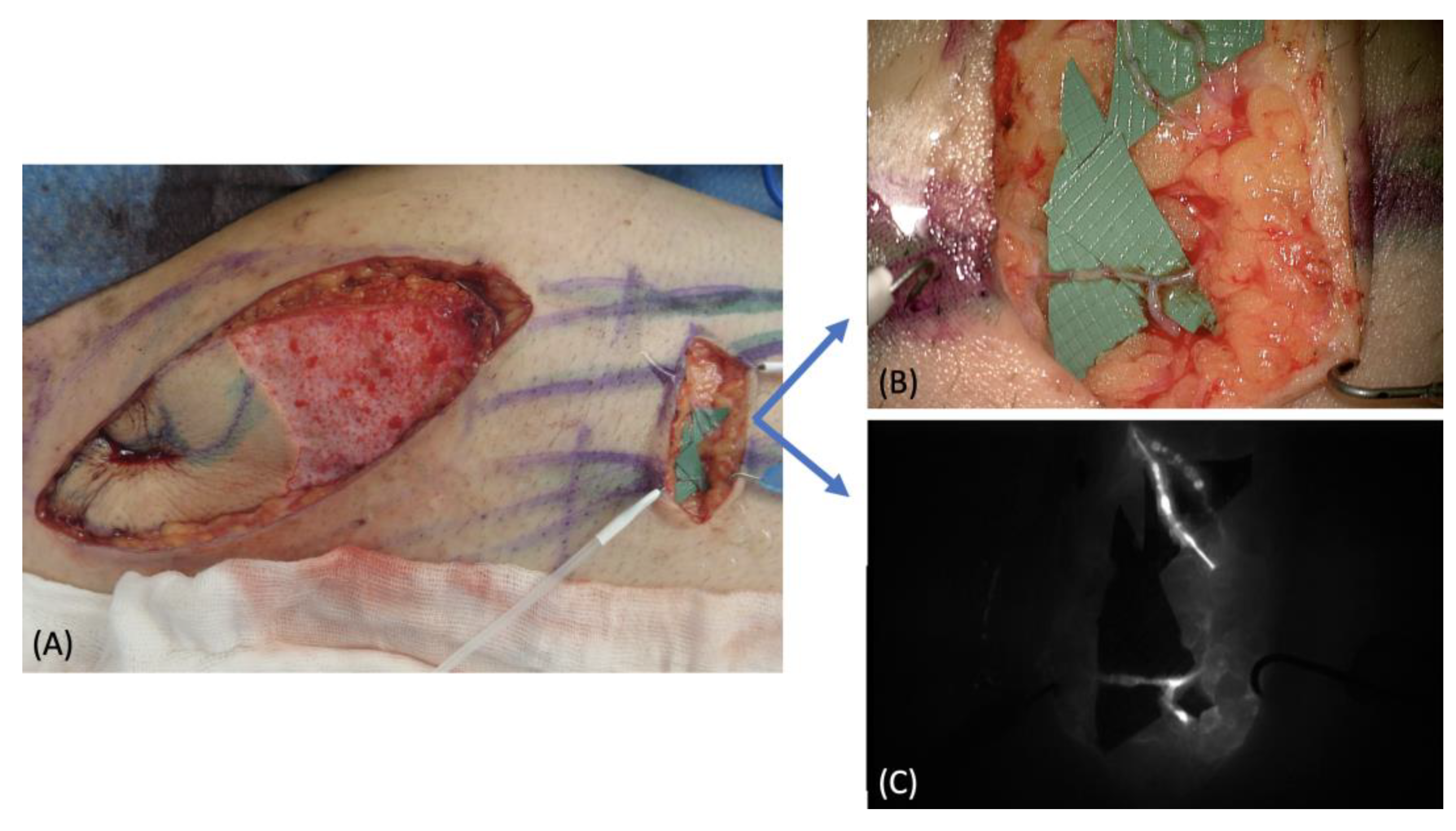 Medicina 58 00067 g002 550
